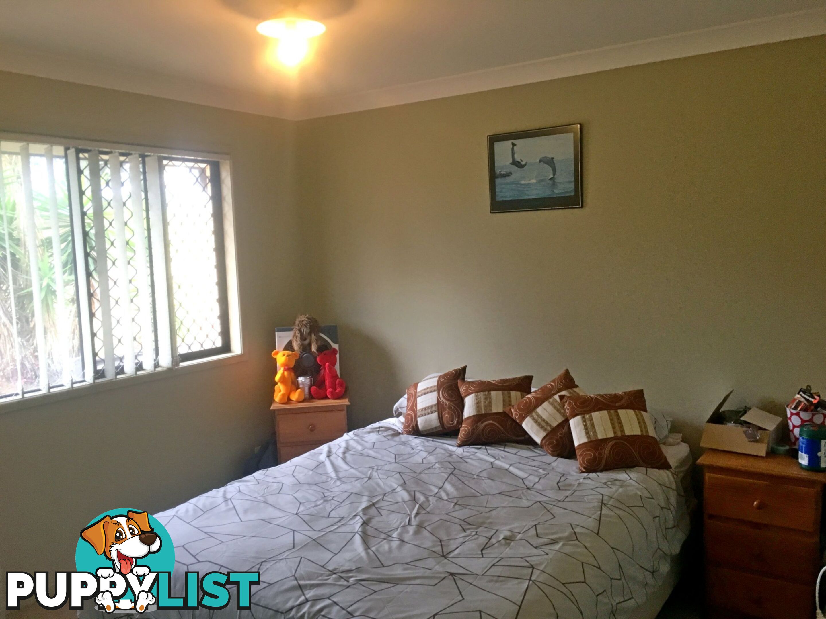 9 BOURKE STREET ADARE QLD 4343