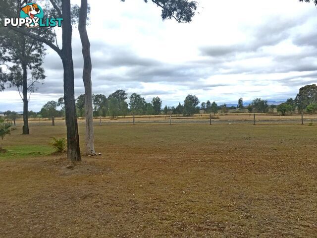 9 BOURKE STREET ADARE QLD 4343