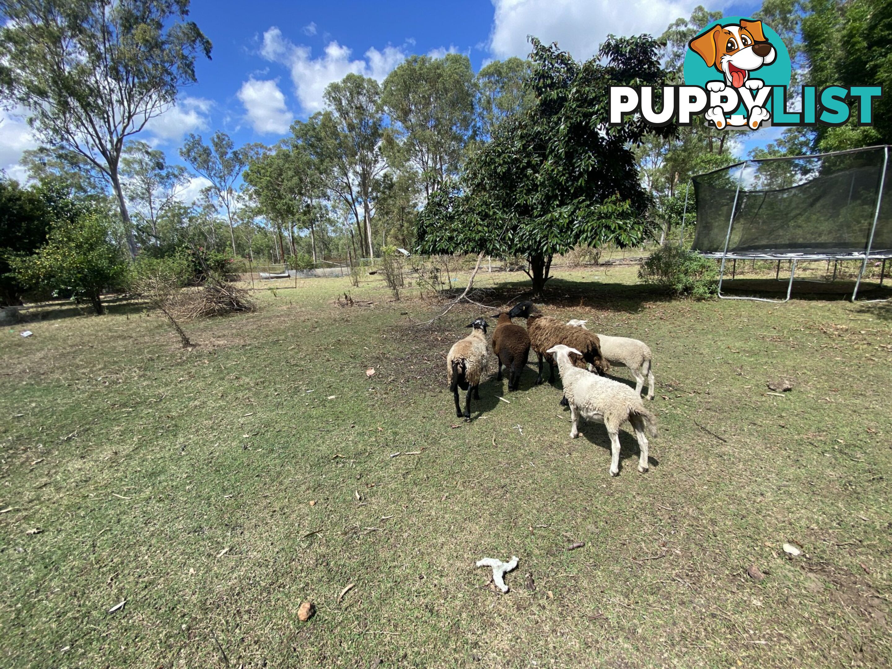 1449 Atkinsons Dam Road CHURCHABLE QLD 4311