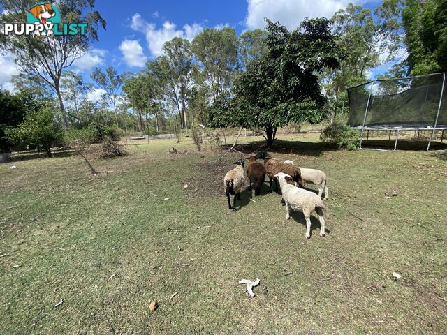 1449 Atkinsons Dam Road CHURCHABLE QLD 4311