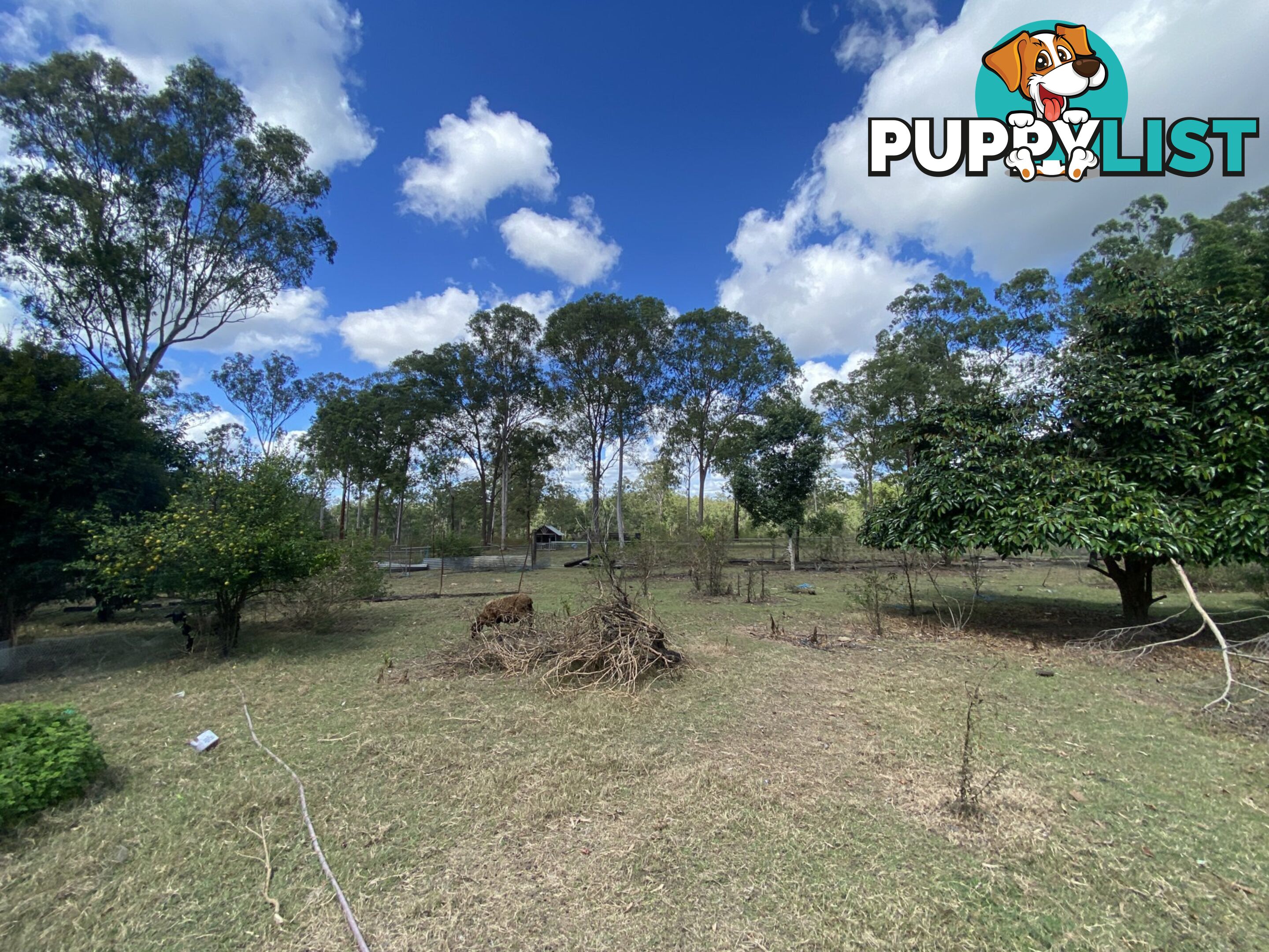 1449 Atkinsons Dam Road CHURCHABLE QLD 4311