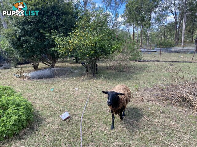 1449 Atkinsons Dam Road CHURCHABLE QLD 4311