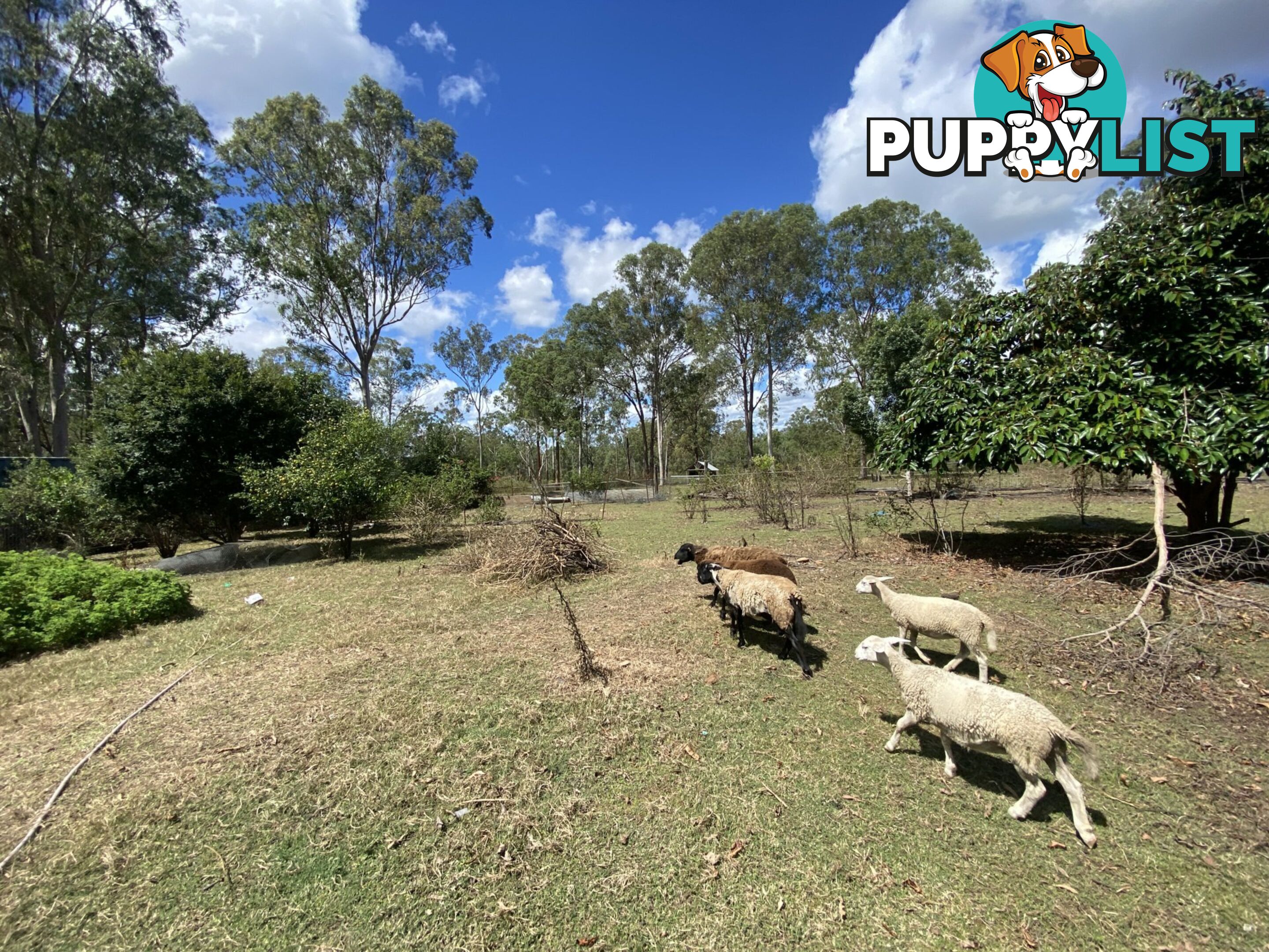 1449 Atkinsons Dam Road CHURCHABLE QLD 4311