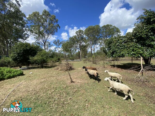 1449 Atkinsons Dam Road CHURCHABLE QLD 4311