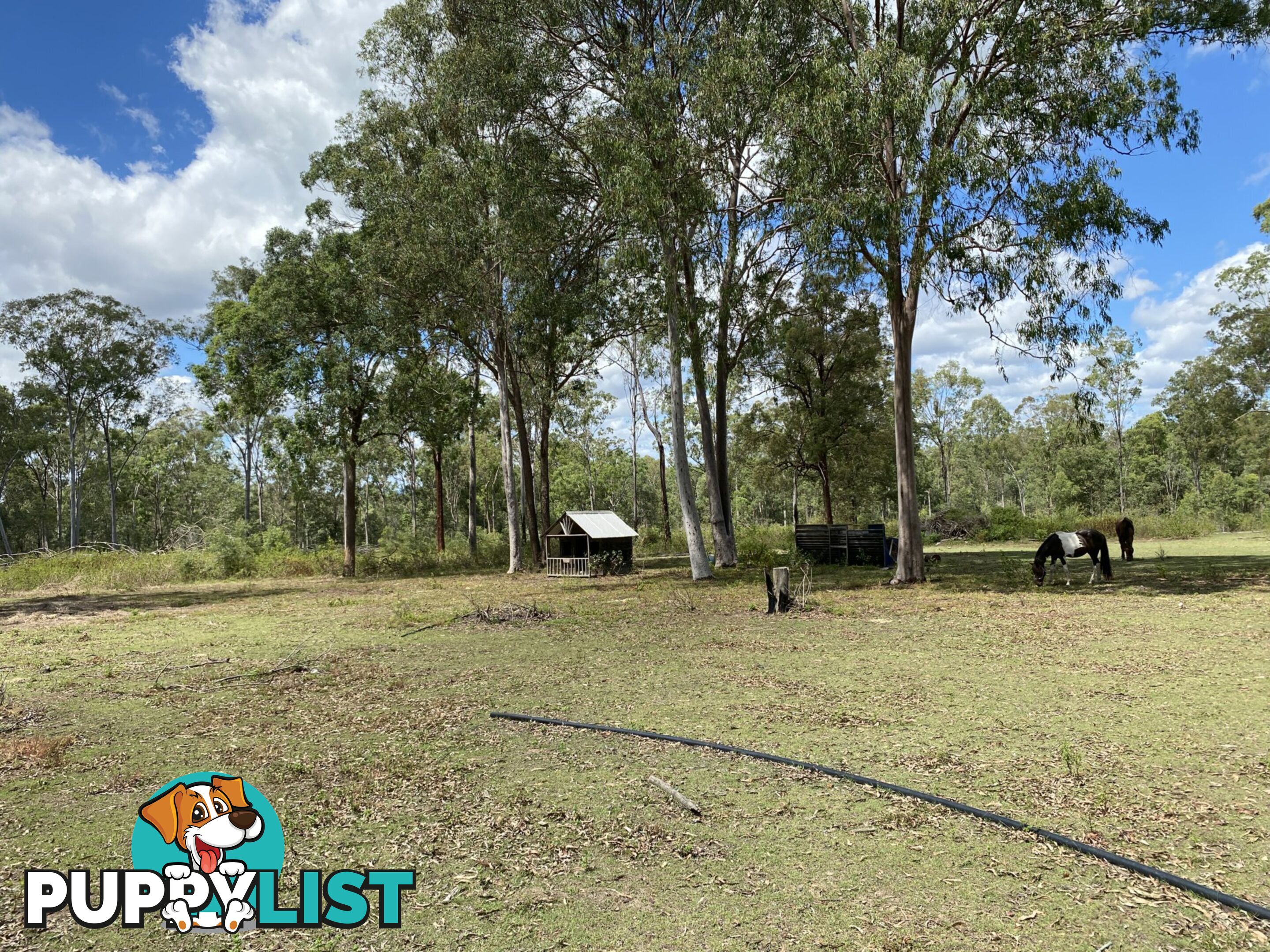 1449 Atkinsons Dam Road CHURCHABLE QLD 4311