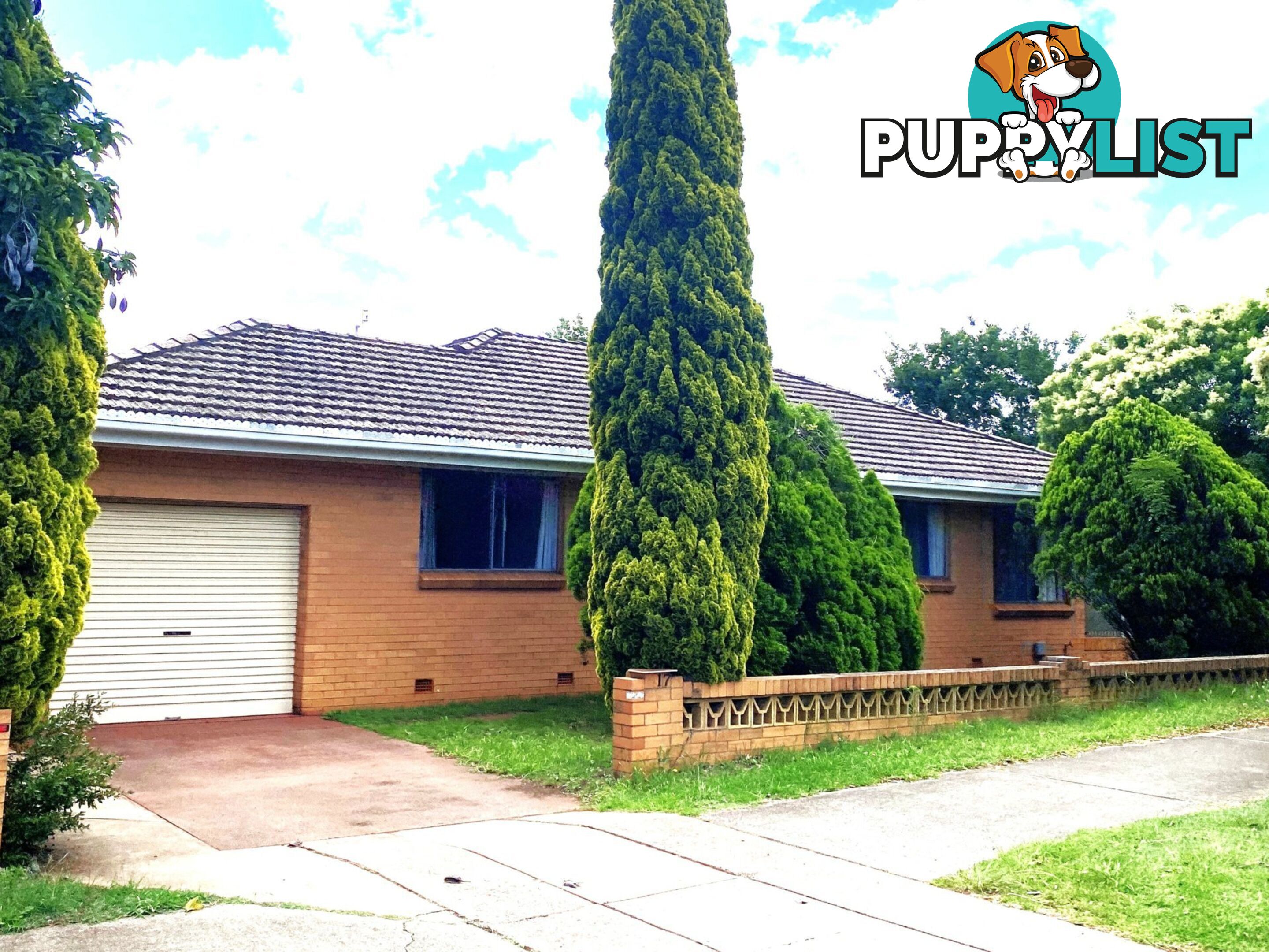 17 Cohoe Street EAST TOOWOOMBA QLD 4350