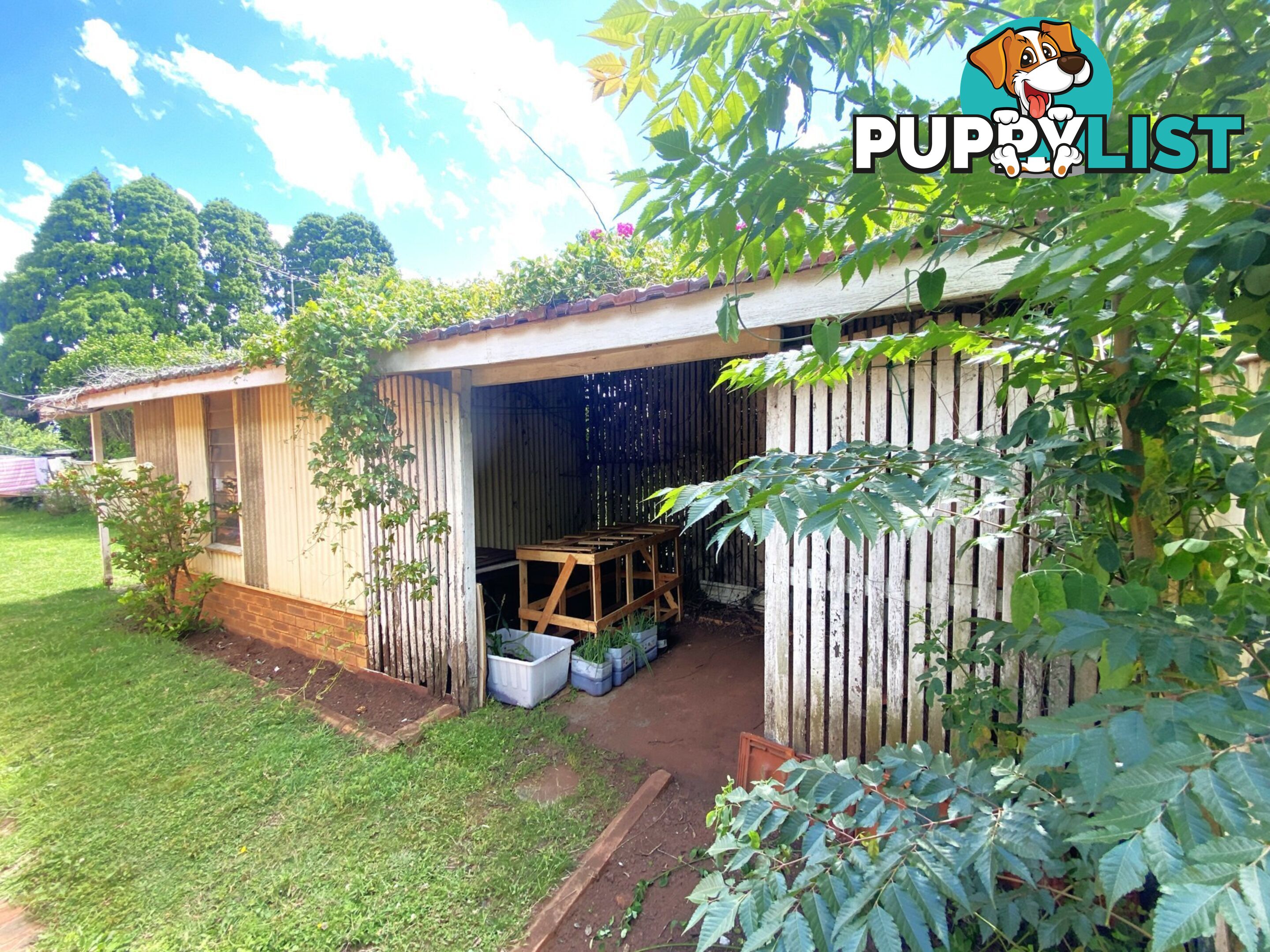 17 Cohoe Street EAST TOOWOOMBA QLD 4350