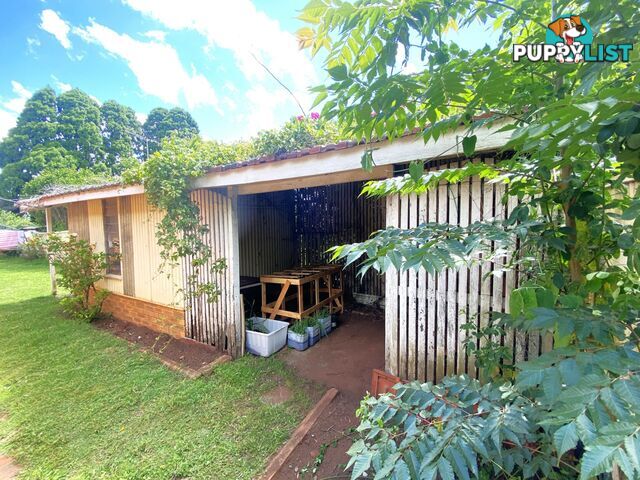 17 Cohoe Street EAST TOOWOOMBA QLD 4350