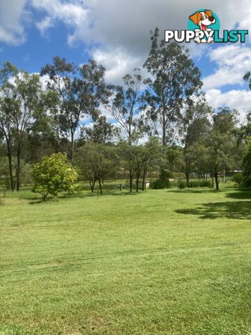 30 ALVISIO ROAD ADARE QLD 4343