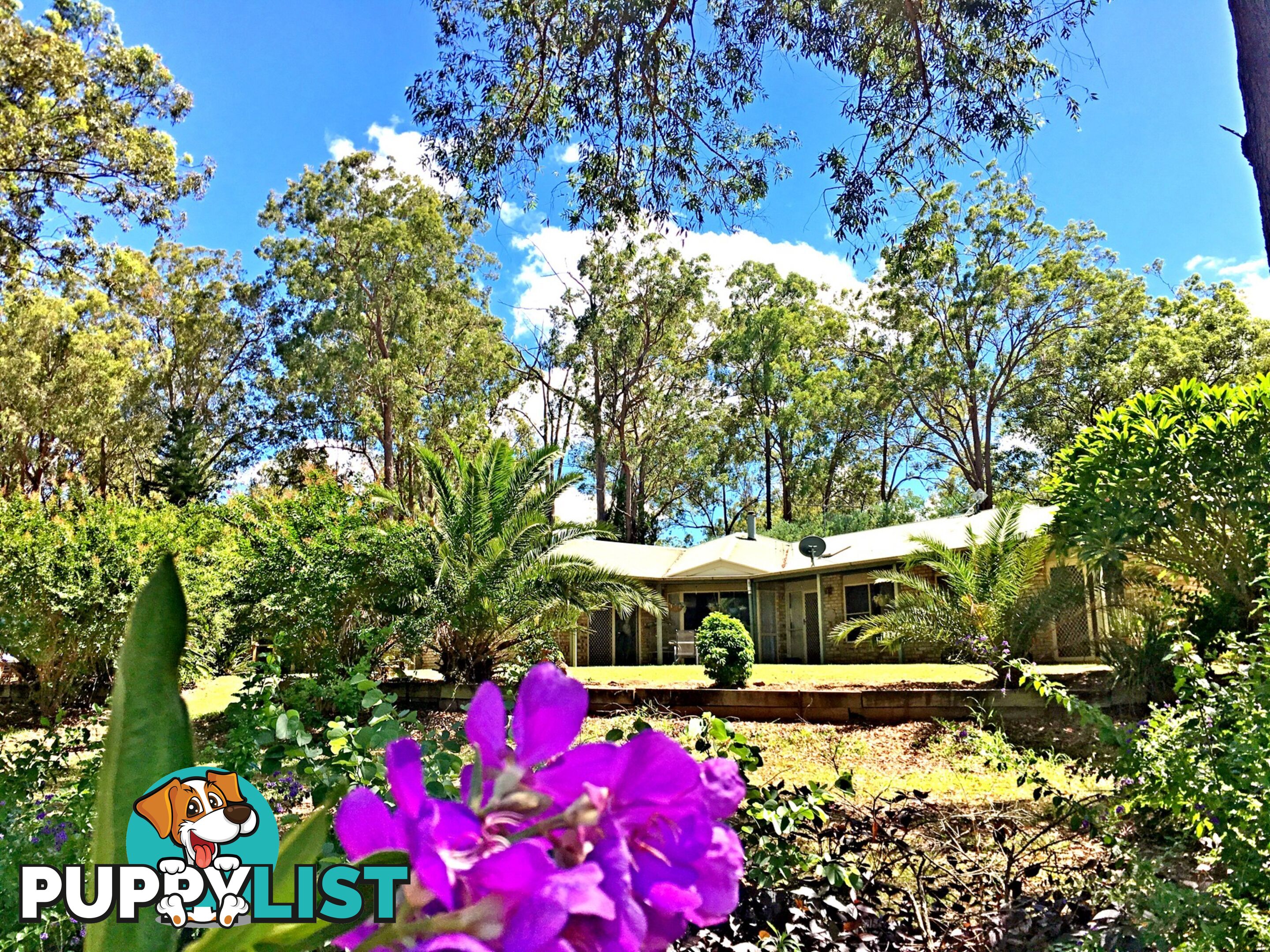 105 Windsor Drive MOUNT HALLEN QLD 4312