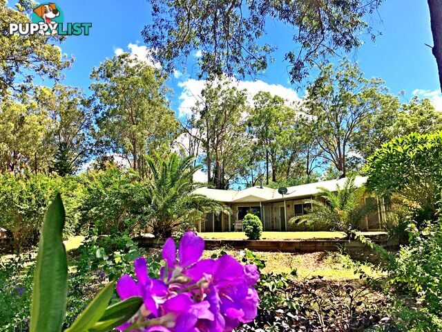 105 Windsor Drive MOUNT HALLEN QLD 4312