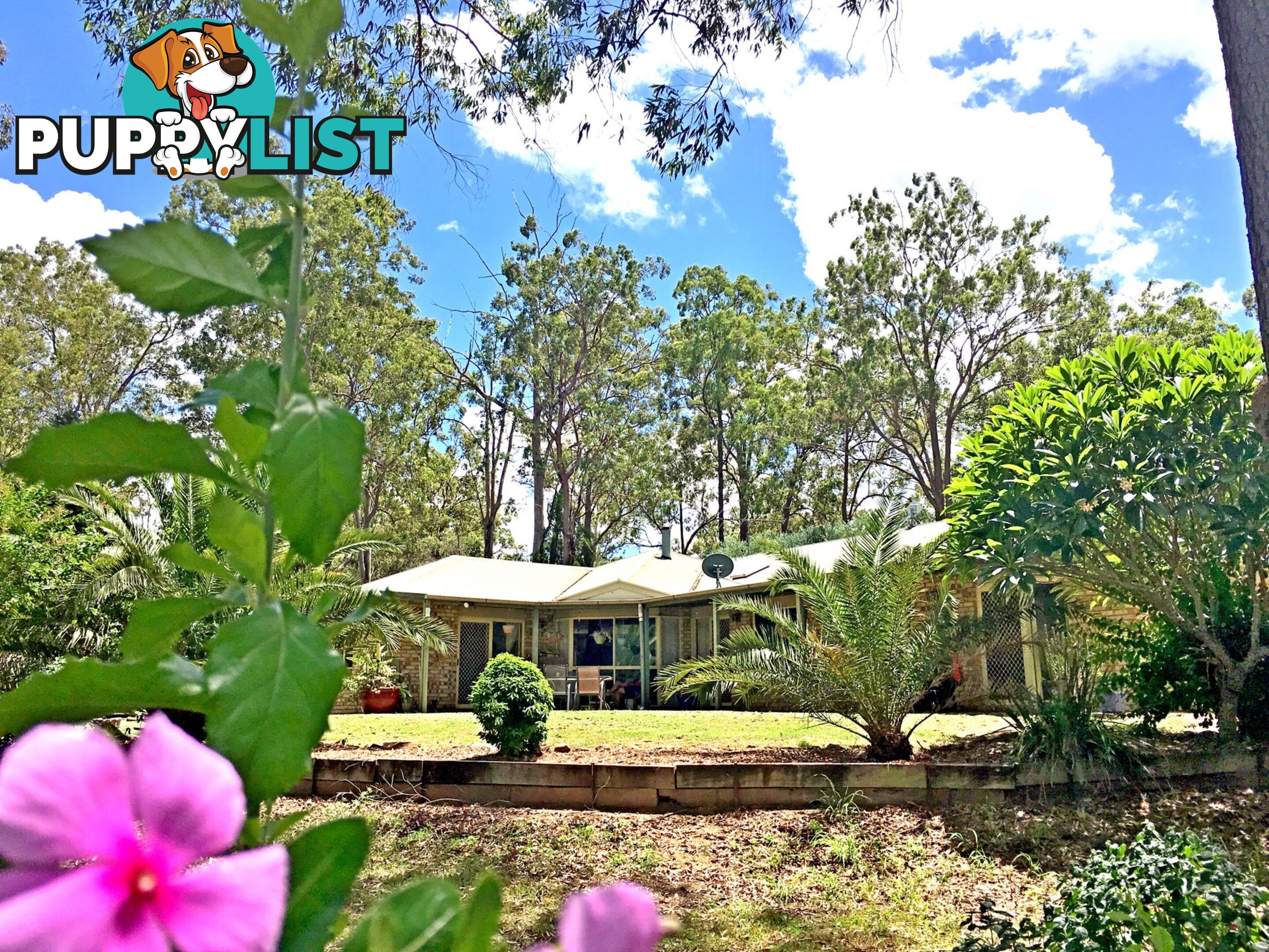 105 Windsor Drive MOUNT HALLEN QLD 4312