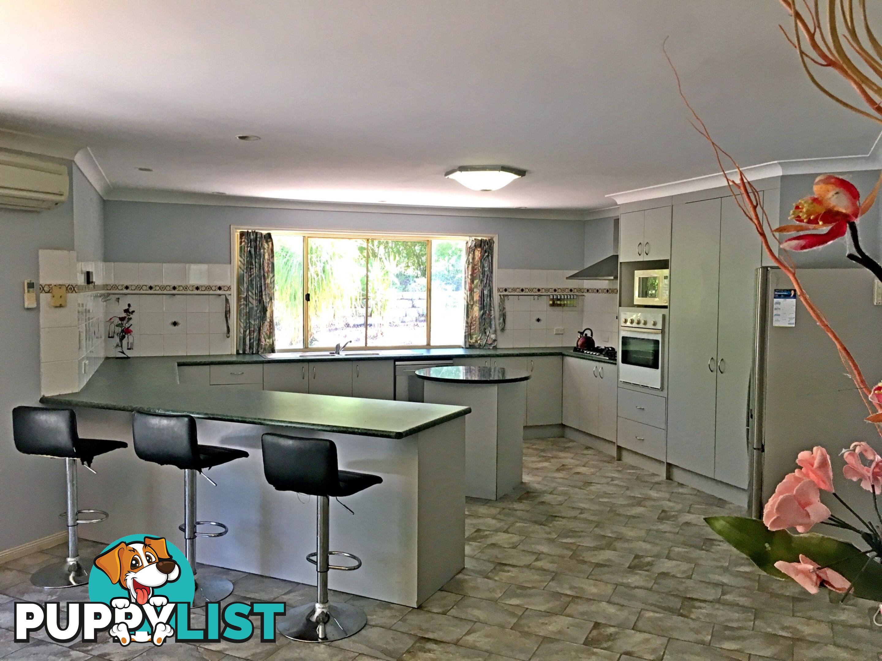 105 Windsor Drive MOUNT HALLEN QLD 4312