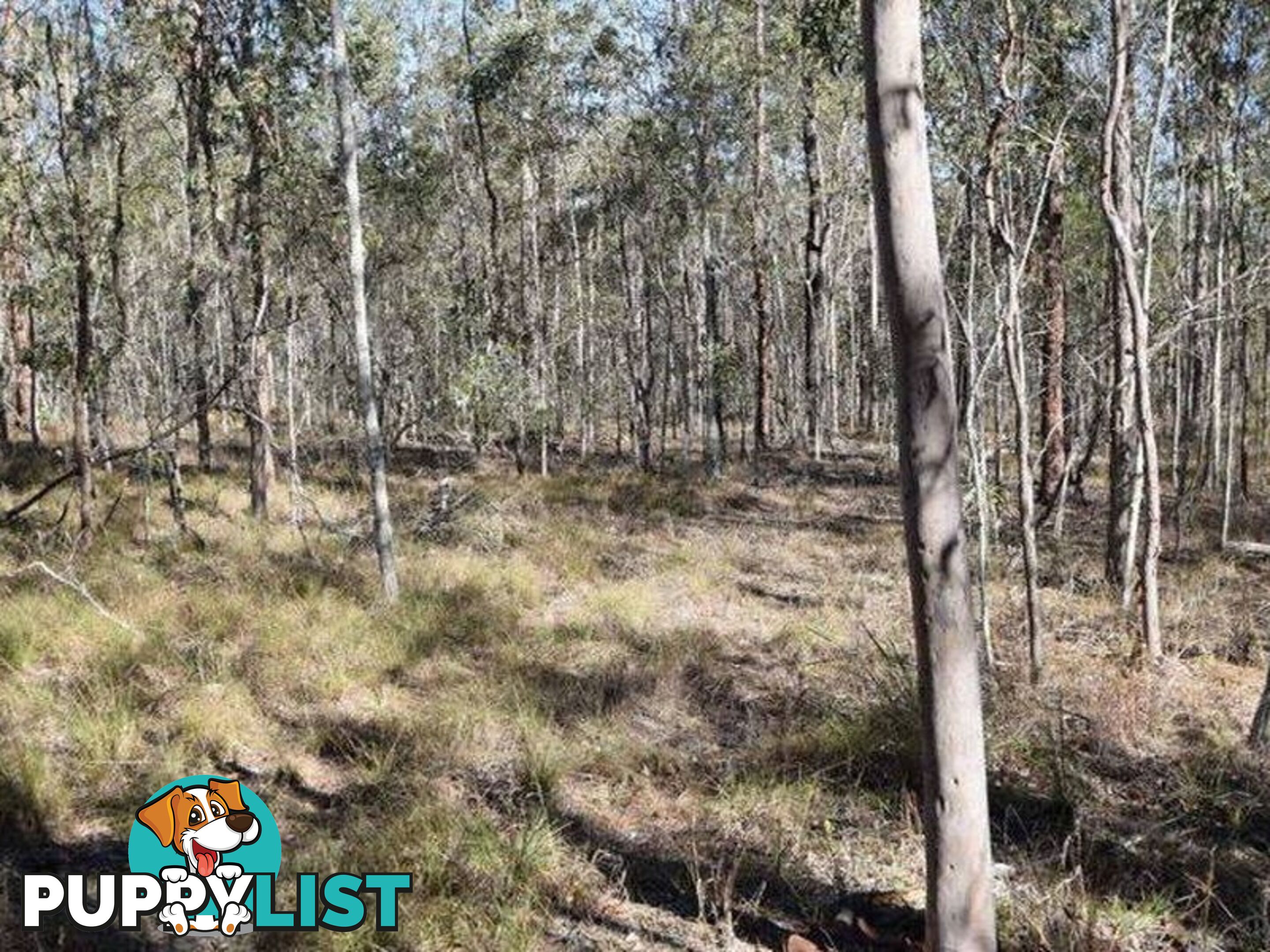 Lot 29 Heers Road COOMINYA QLD 4311