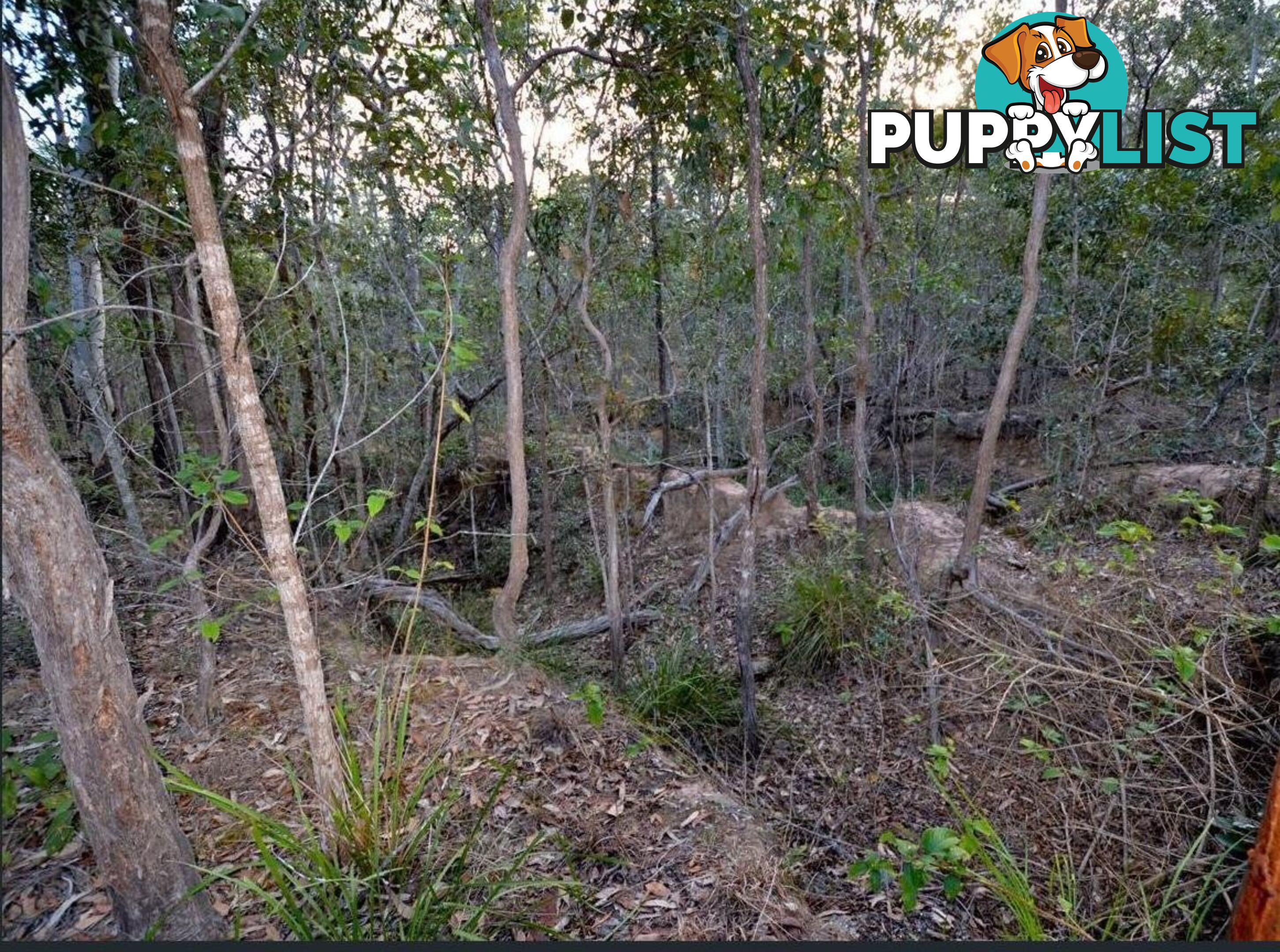 Lot 29 Heers Road COOMINYA QLD 4311