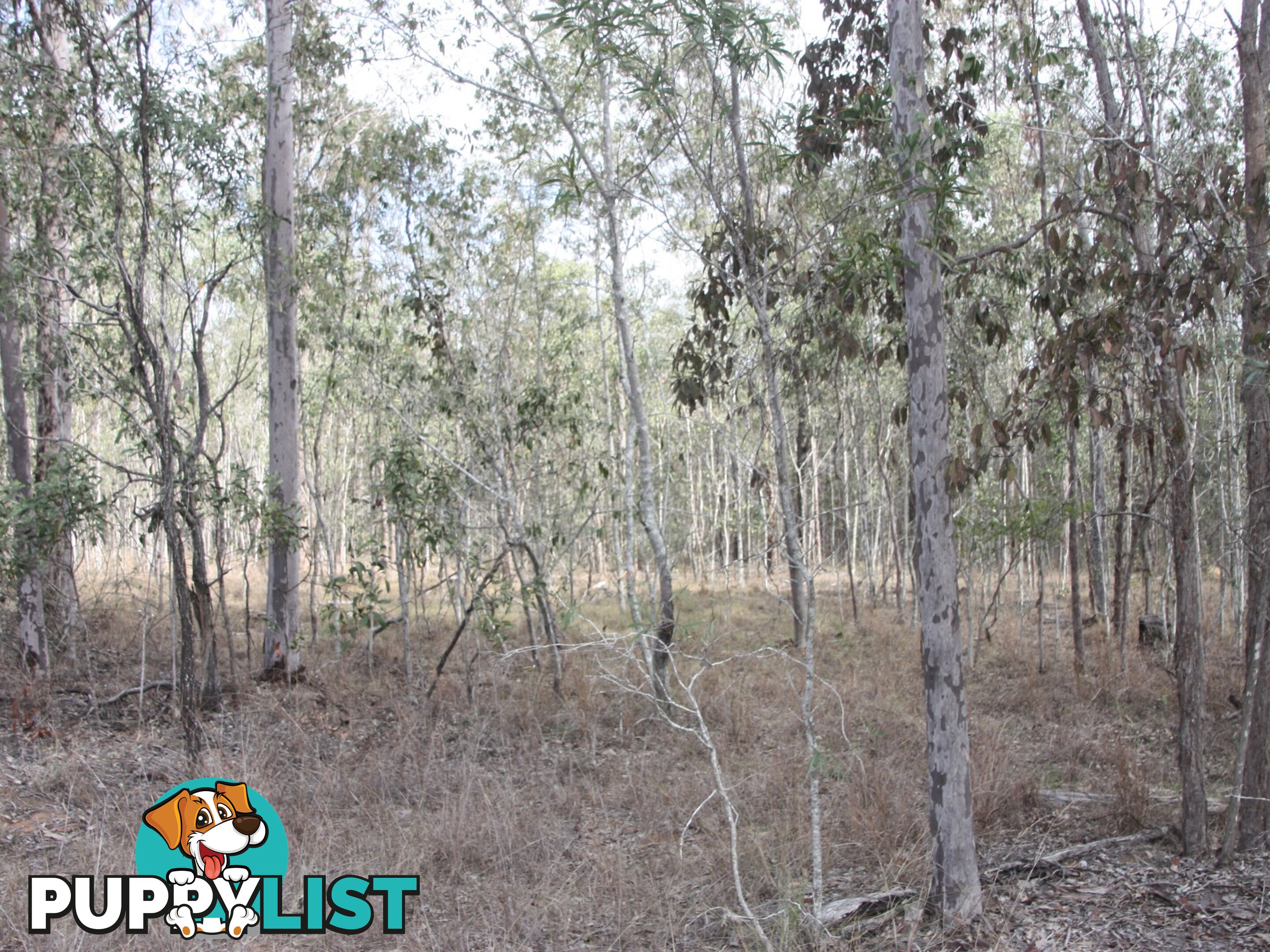 Lot 29 Heers Road COOMINYA QLD 4311