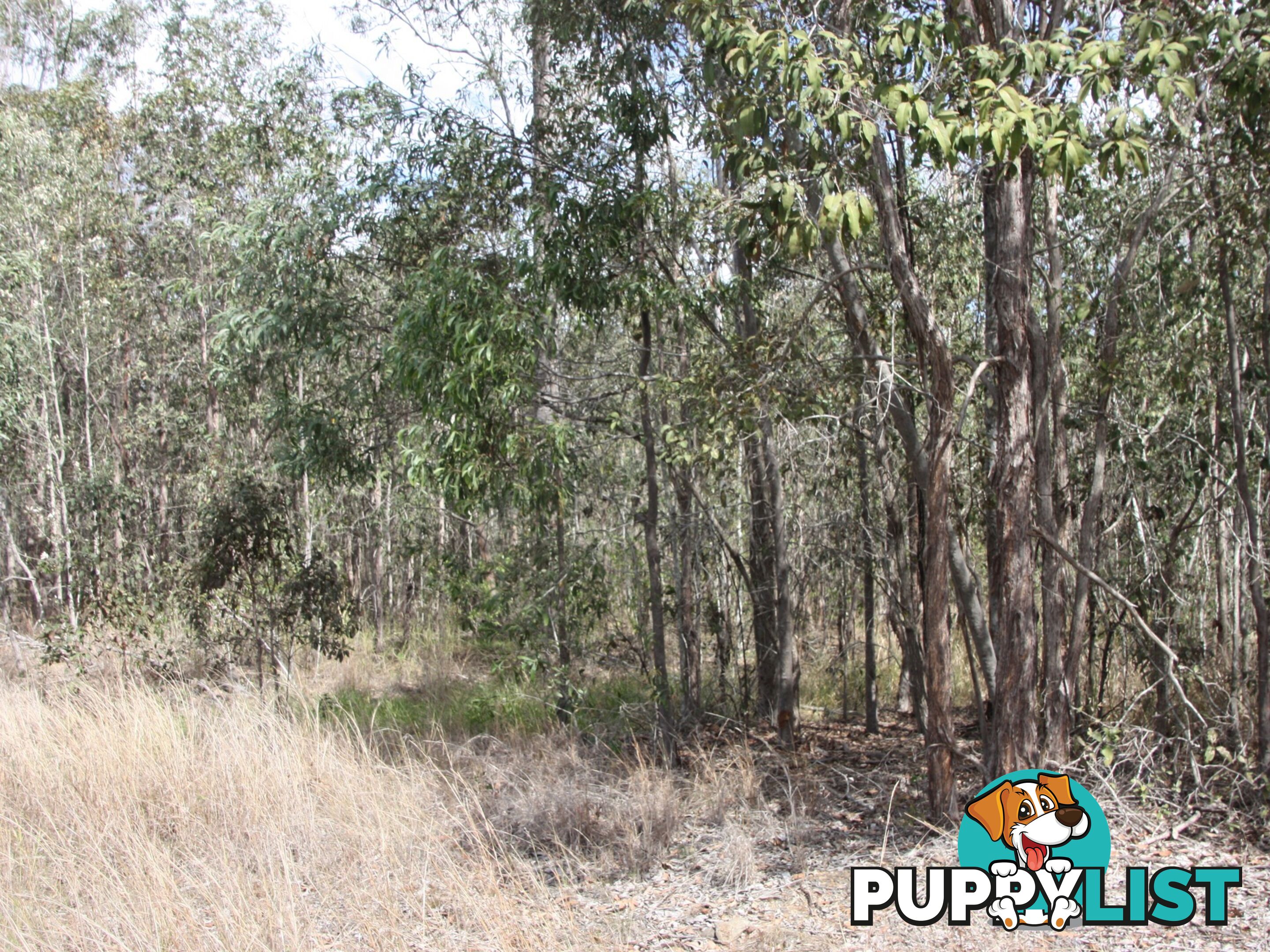 Lot 29 Heers Road COOMINYA QLD 4311