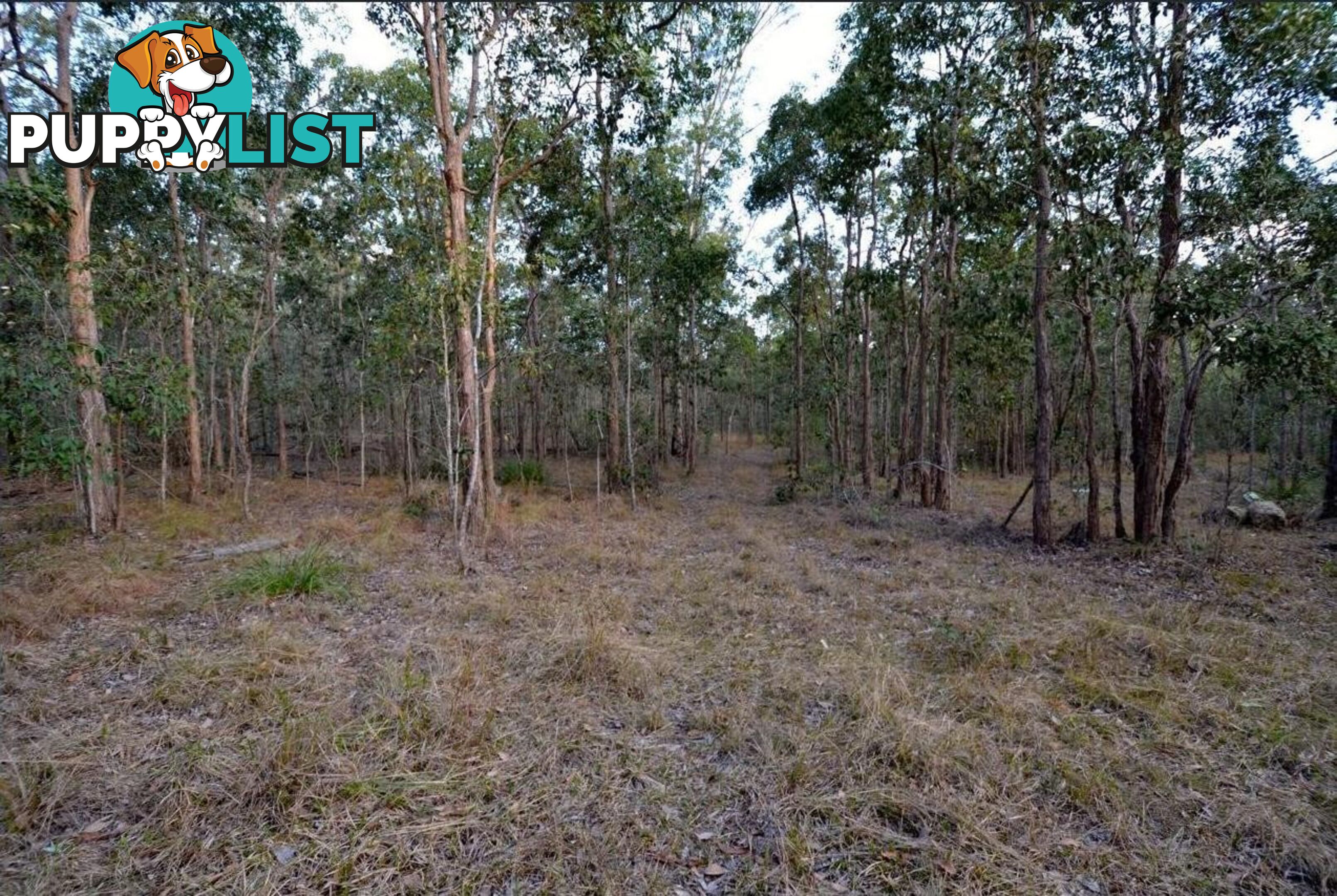 Lot 29 Heers Road COOMINYA QLD 4311