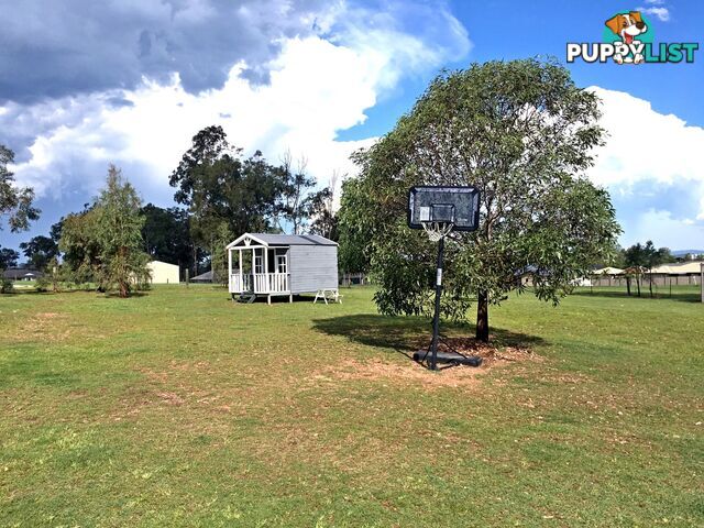 5 Mountain View Drive ADARE QLD 4343