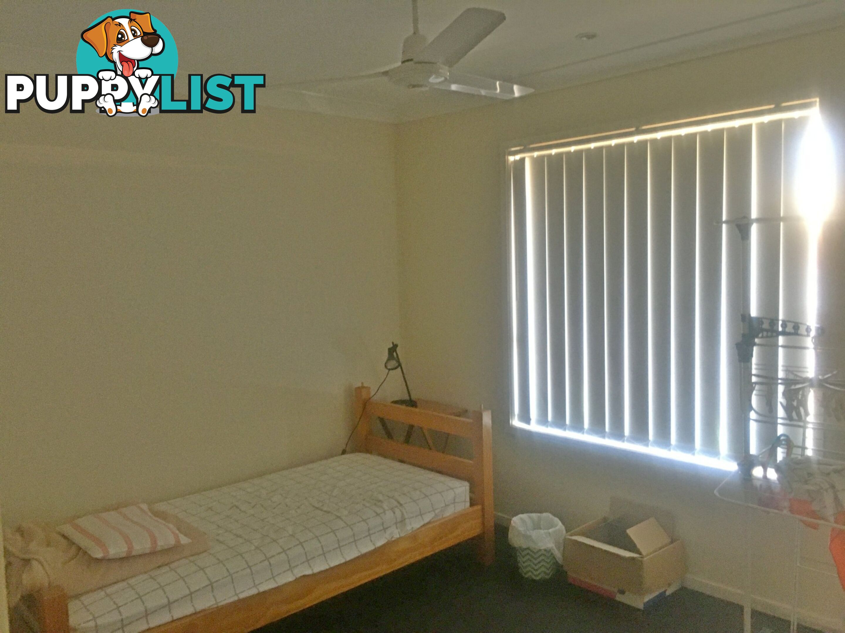 16 Durack Place LAIDLEY QLD 4341