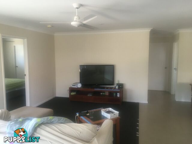 16 Durack Place LAIDLEY QLD 4341