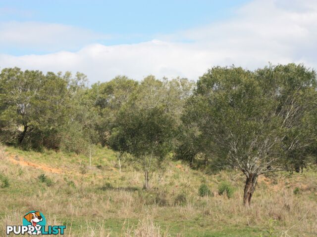 L29 681 Lowood Minden Road COOLANA QLD 4311