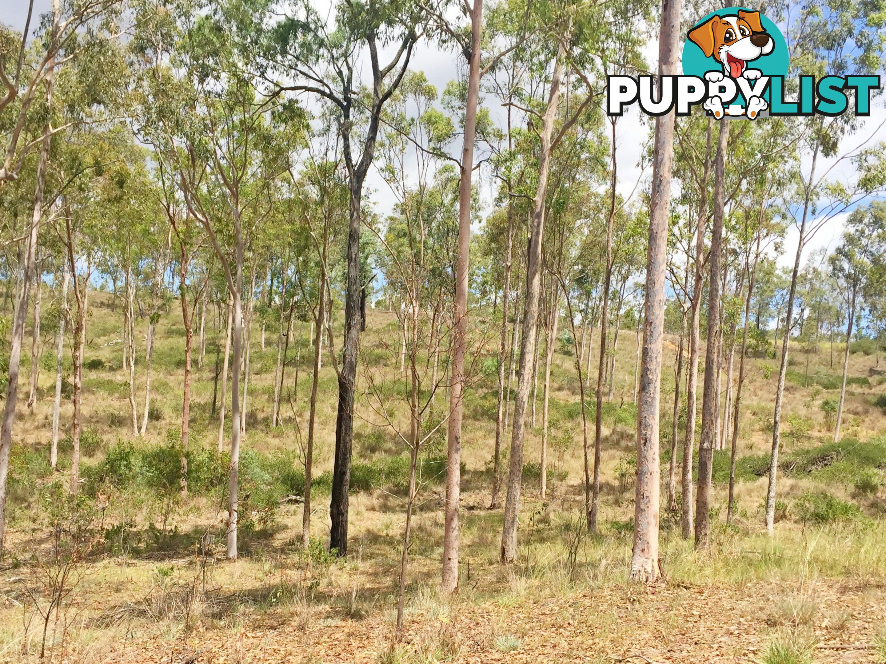 Lot PINNACLE RISE ESTATE/103 Green Gully Road UPPER LOCKYER QLD 4352