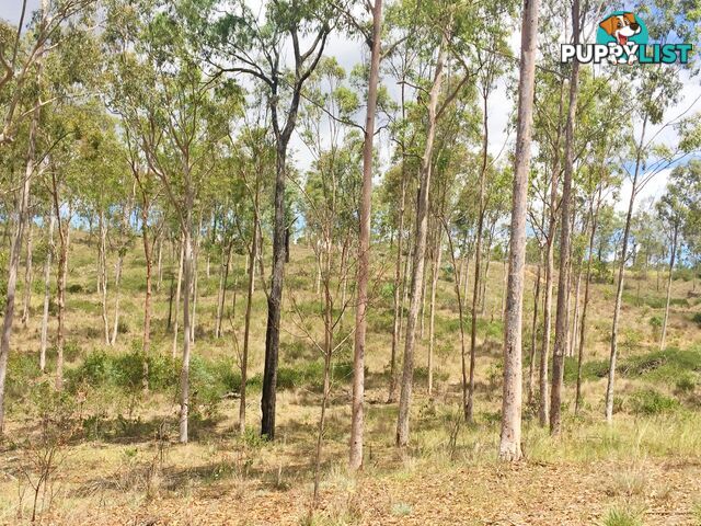 Lot PINNACLE RISE ESTATE/103 Green Gully Road UPPER LOCKYER QLD 4352