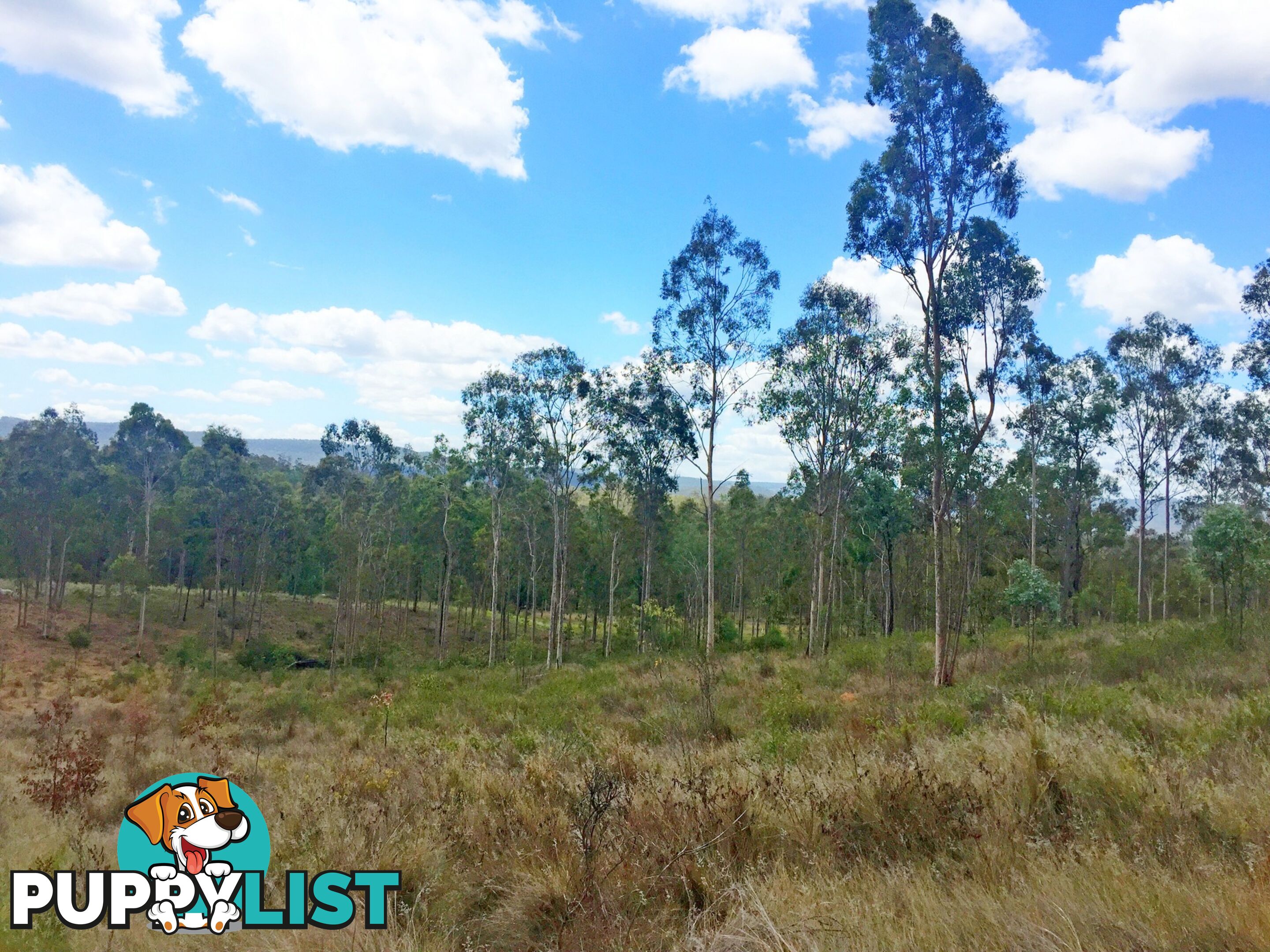 Lot PINNACLE RISE ESTATE/103 Green Gully Road UPPER LOCKYER QLD 4352