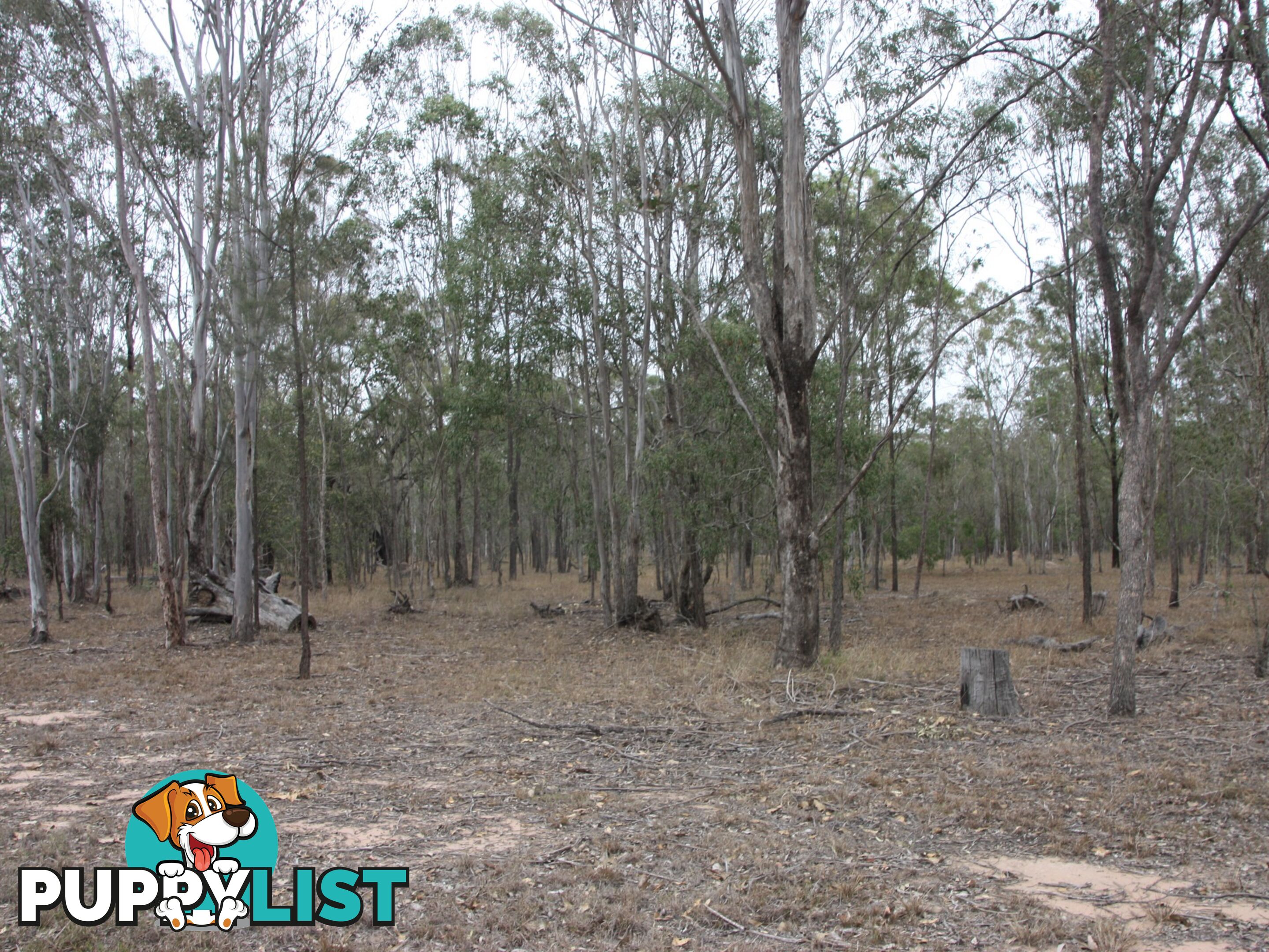 Lot 5 Qually Road LOCKYER WATERS QLD 4311