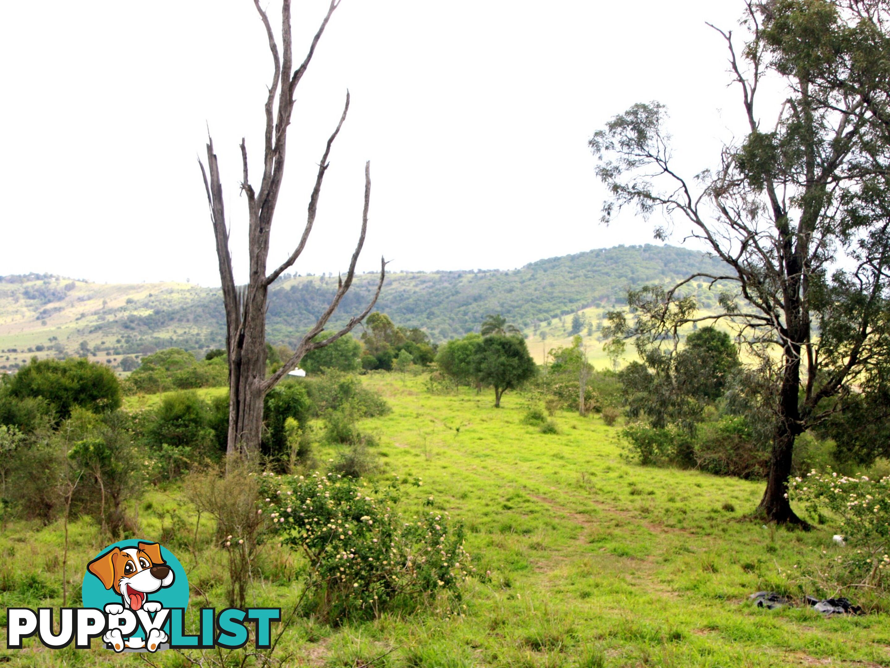 L34 Reinke Road COOLANA QLD 4311