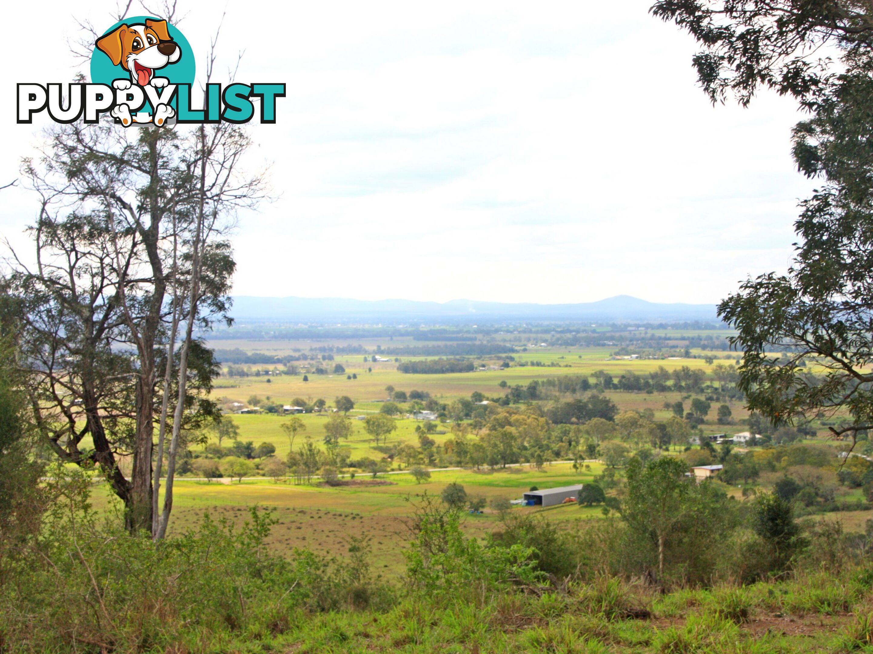 L34 Reinke Road COOLANA QLD 4311