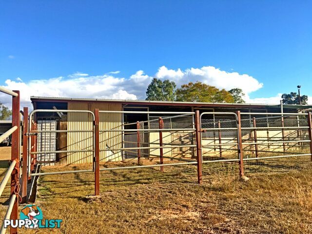 139 Brigalow Street PLACID HILLS QLD 4343