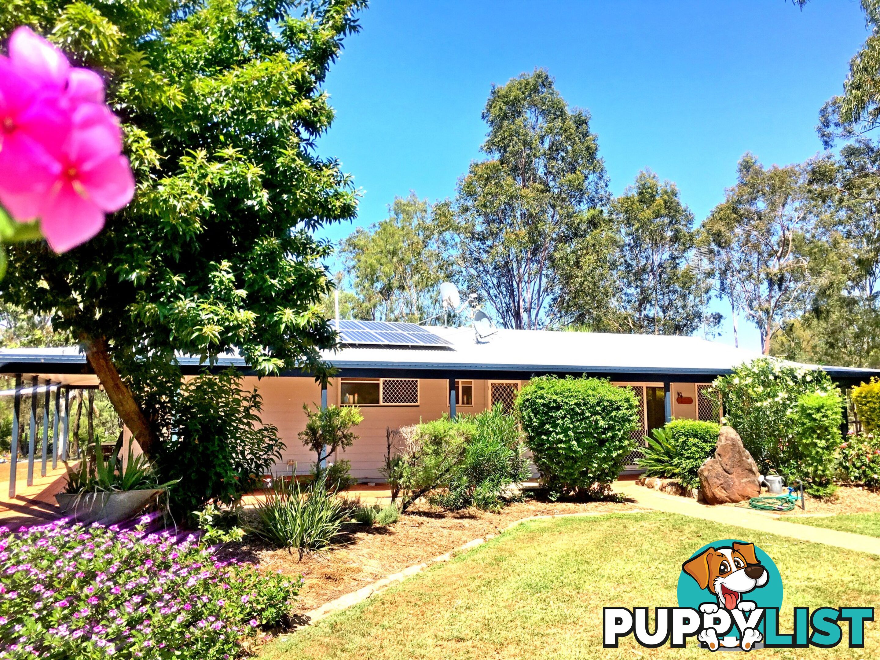 62 Brigalow Street PLACID HILLS QLD 4343