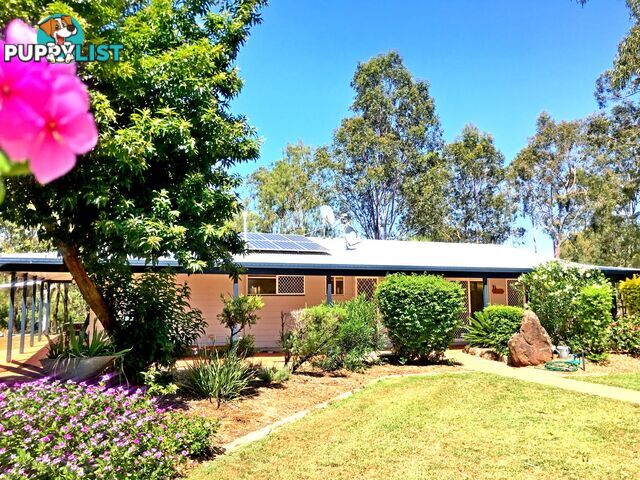 62 Brigalow Street PLACID HILLS QLD 4343