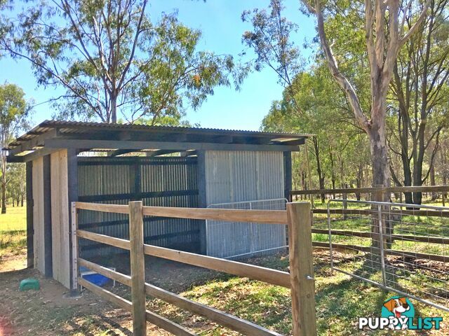 62 Brigalow Street PLACID HILLS QLD 4343