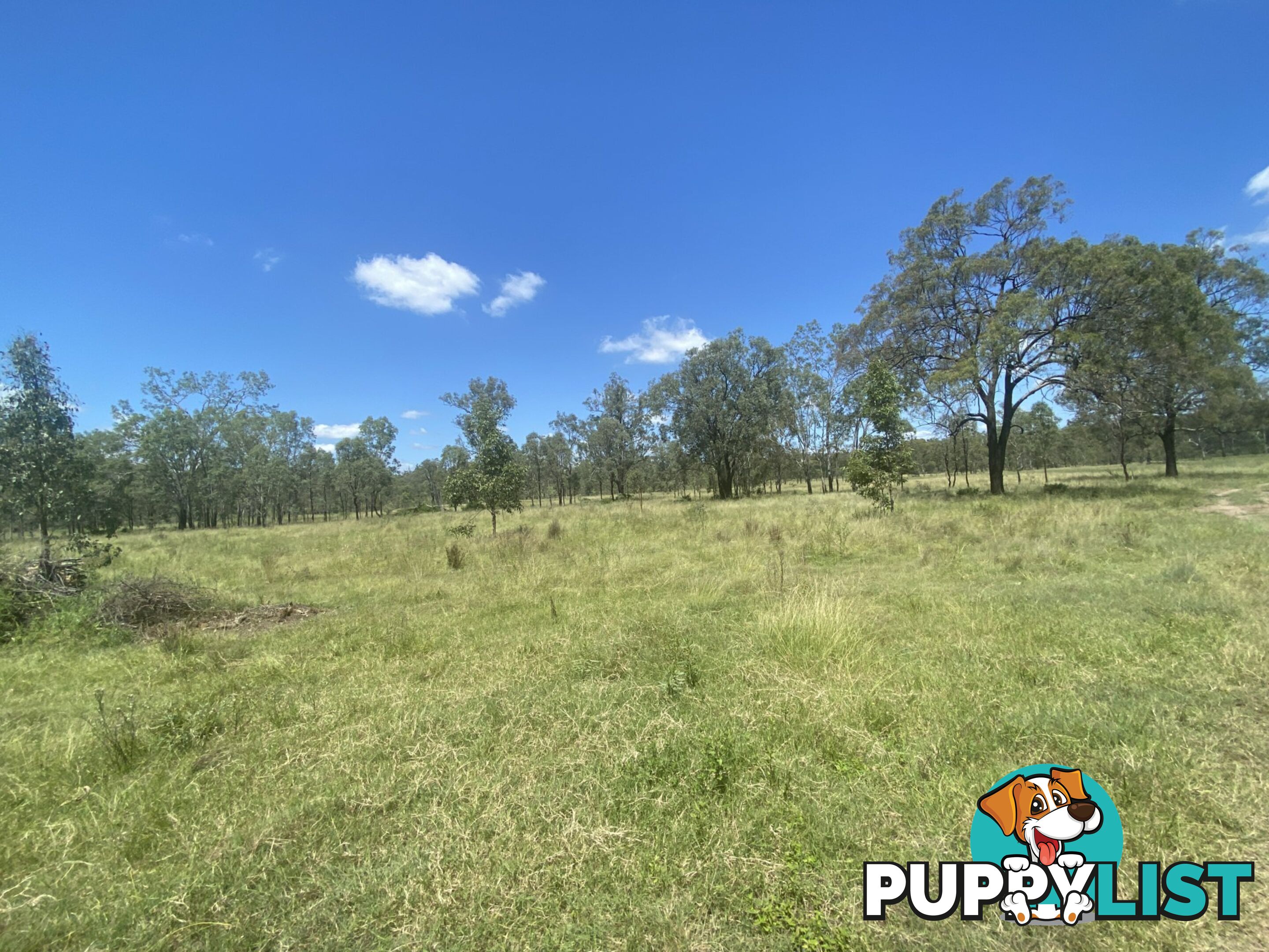 126 Golflinks Drive LAWES QLD 4343