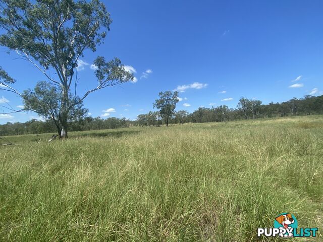 126 Golflinks Drive LAWES QLD 4343