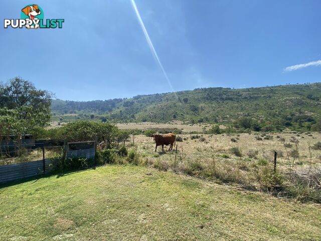 1133 Ropeley-Rockside Road ROCKSIDE QLD 4343