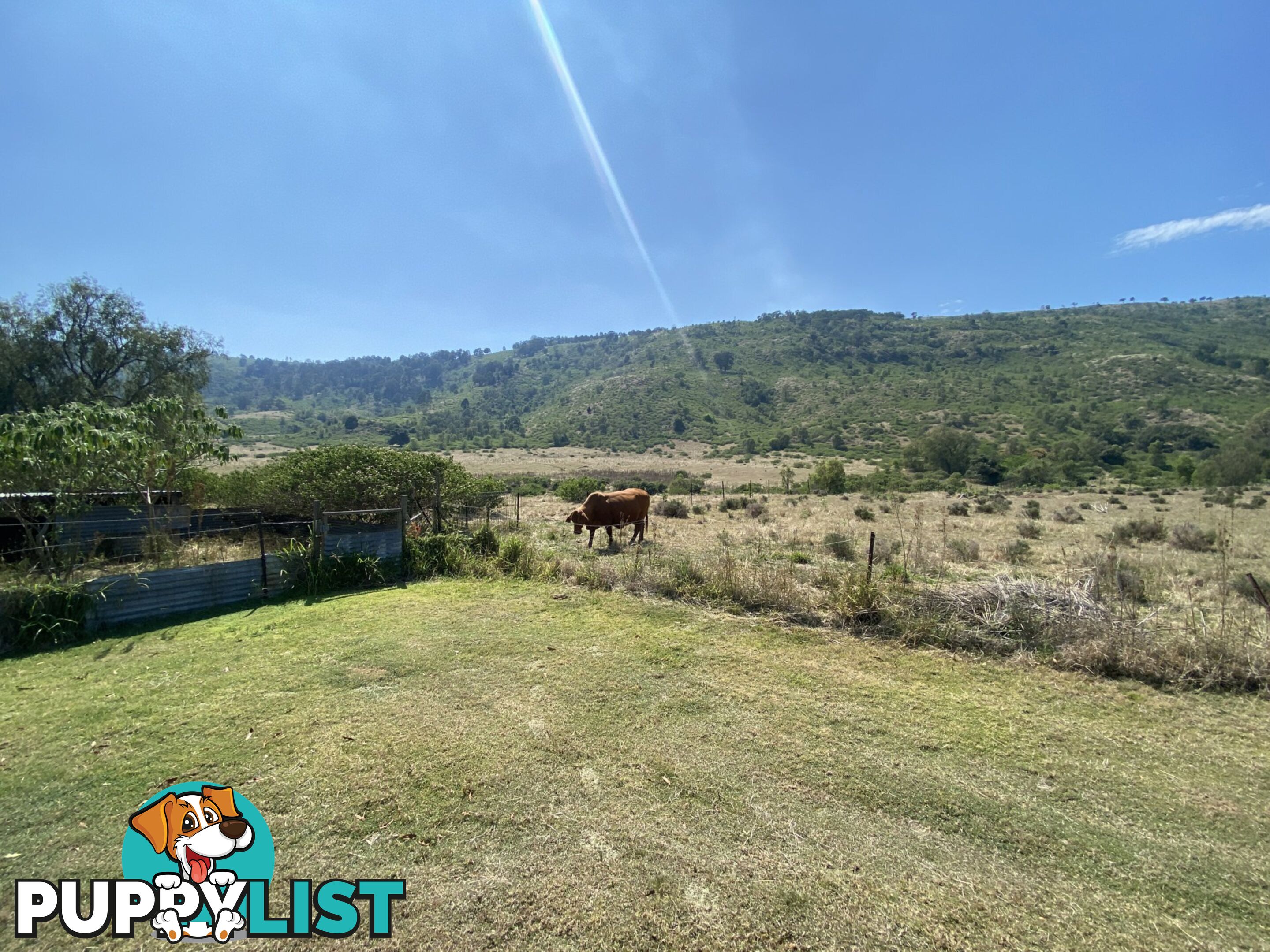 1133 Ropeley-Rockside Road ROCKSIDE QLD 4343