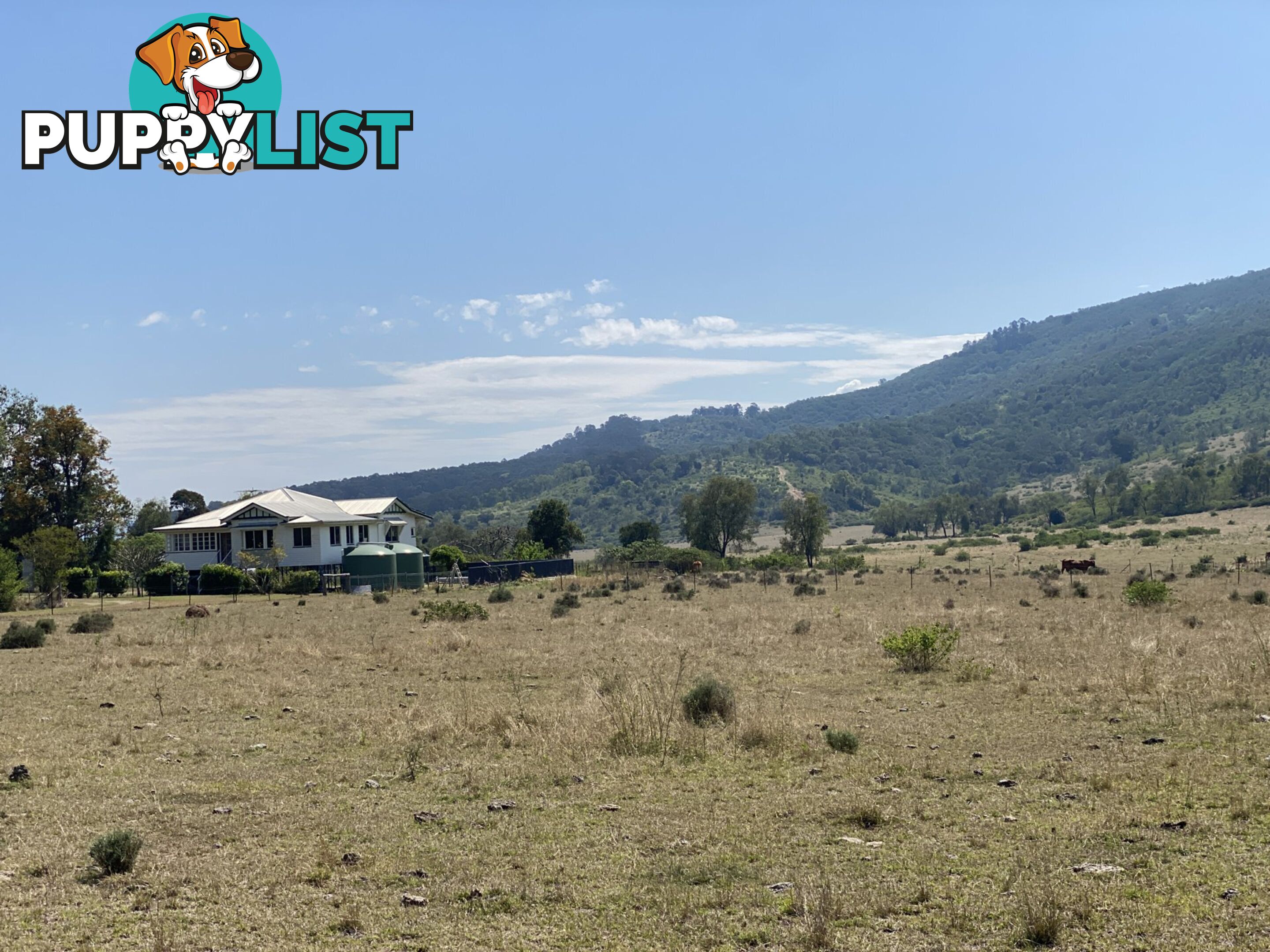 1133 Ropeley-Rockside Road ROCKSIDE QLD 4343