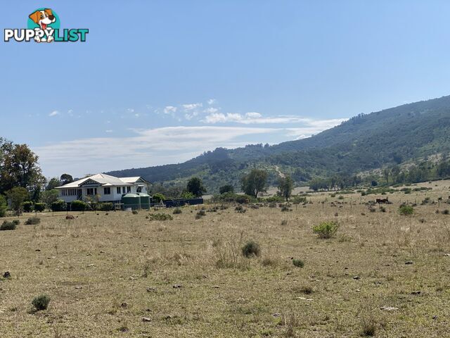 1133 Ropeley-Rockside Road ROCKSIDE QLD 4343