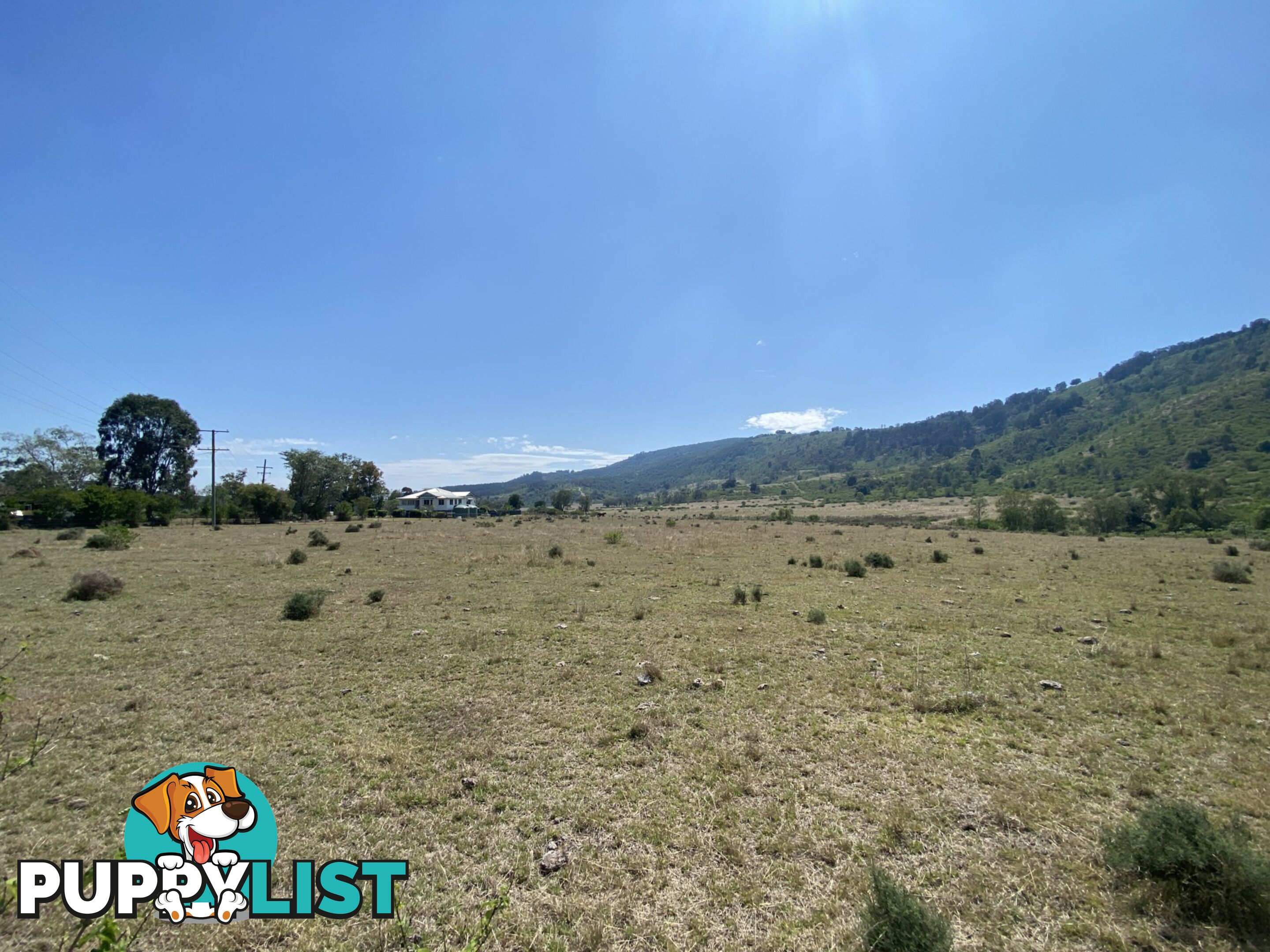 1133 Ropeley-Rockside Road ROCKSIDE QLD 4343