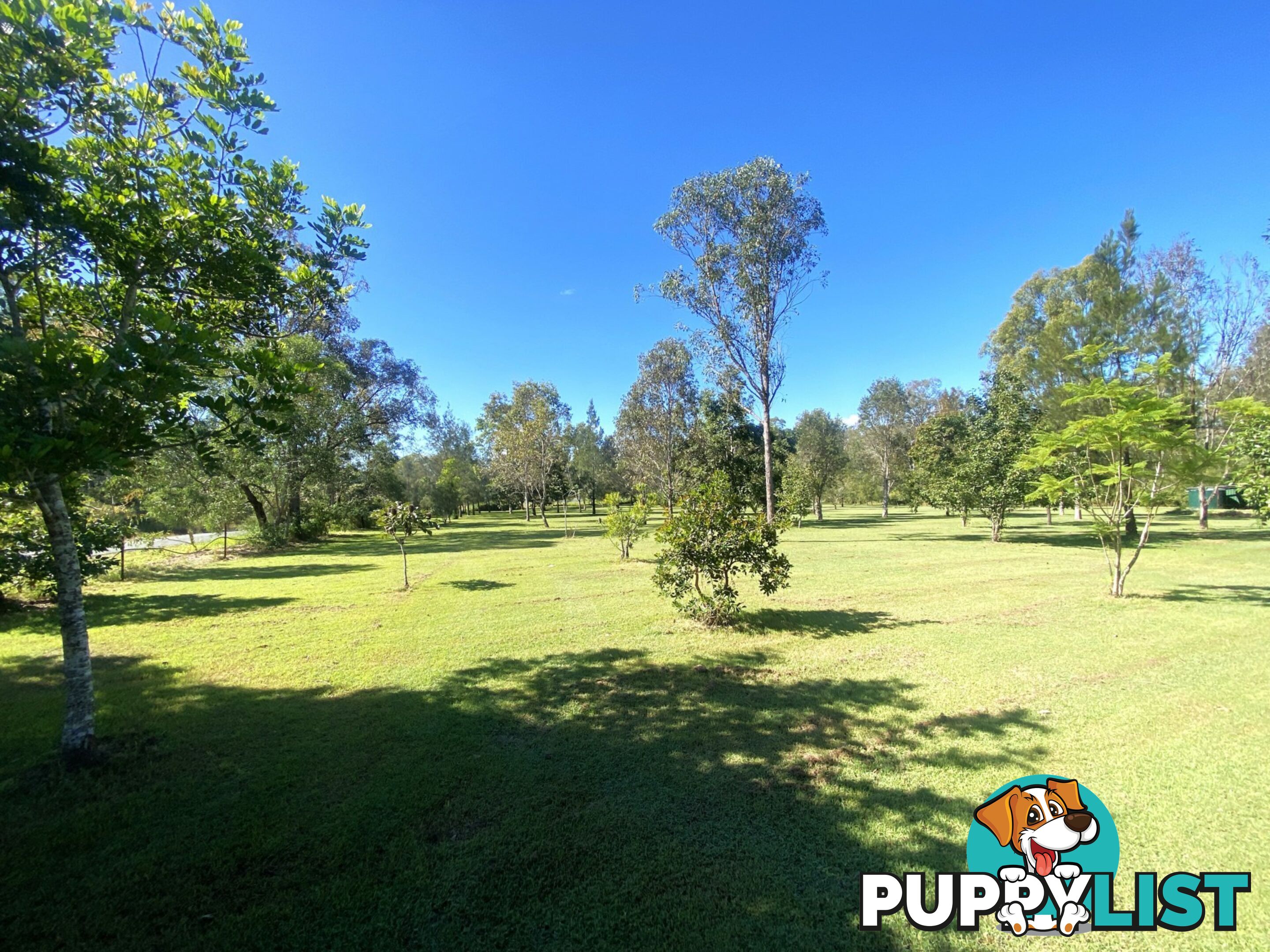 15 Krugers Road SPRING CREEK QLD 4343
