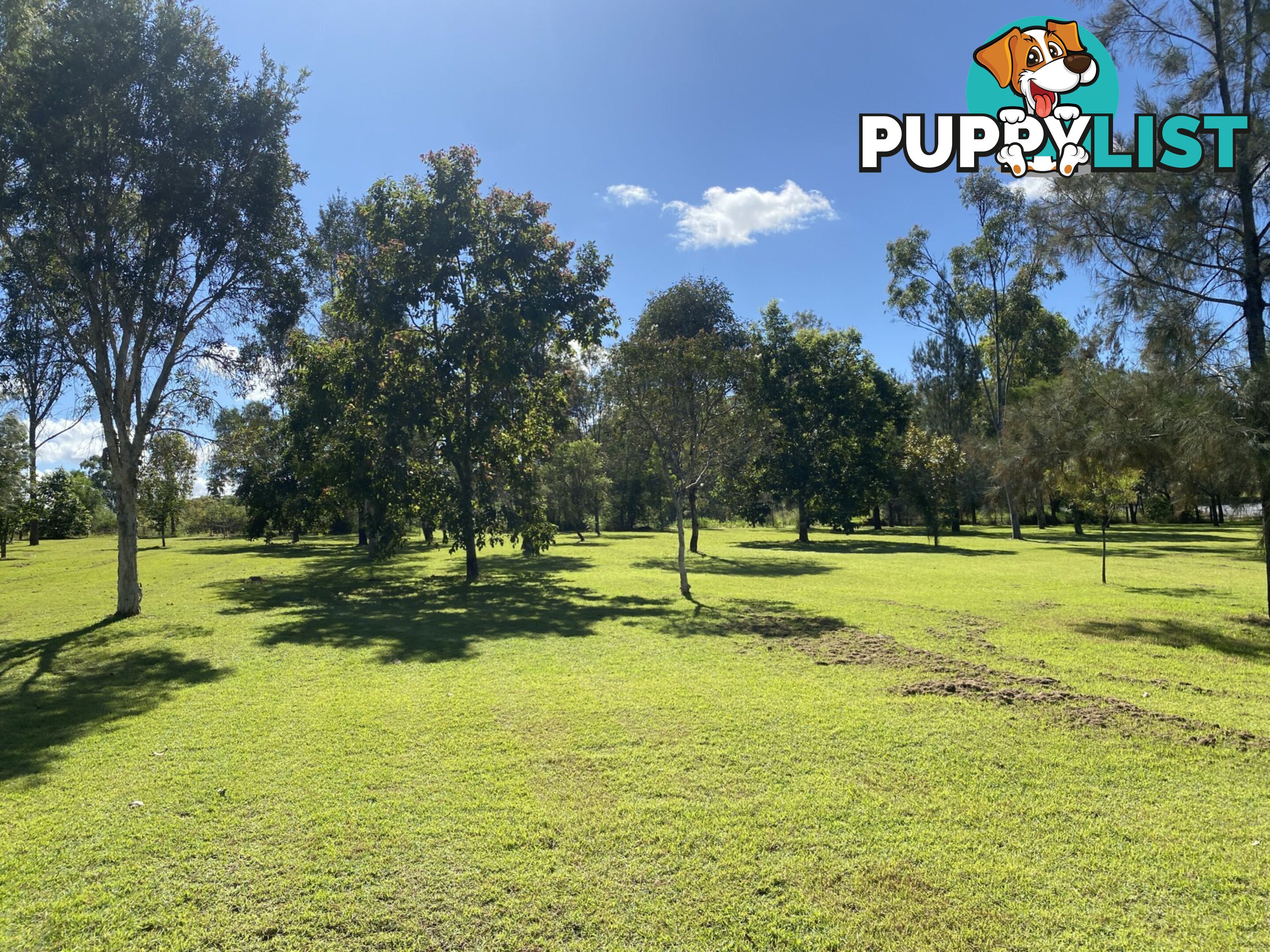 15 Krugers Road SPRING CREEK QLD 4343