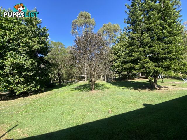 15 Krugers Road SPRING CREEK QLD 4343