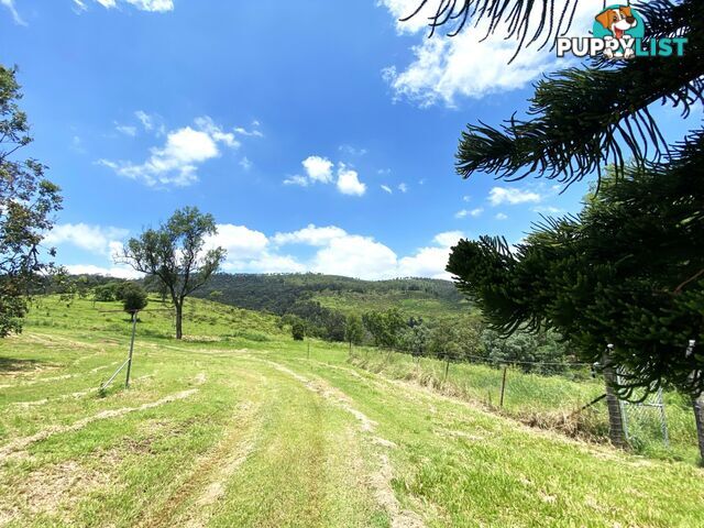 1789 Gatton Clifton Road MOUNT WHITESTONE QLD 4347