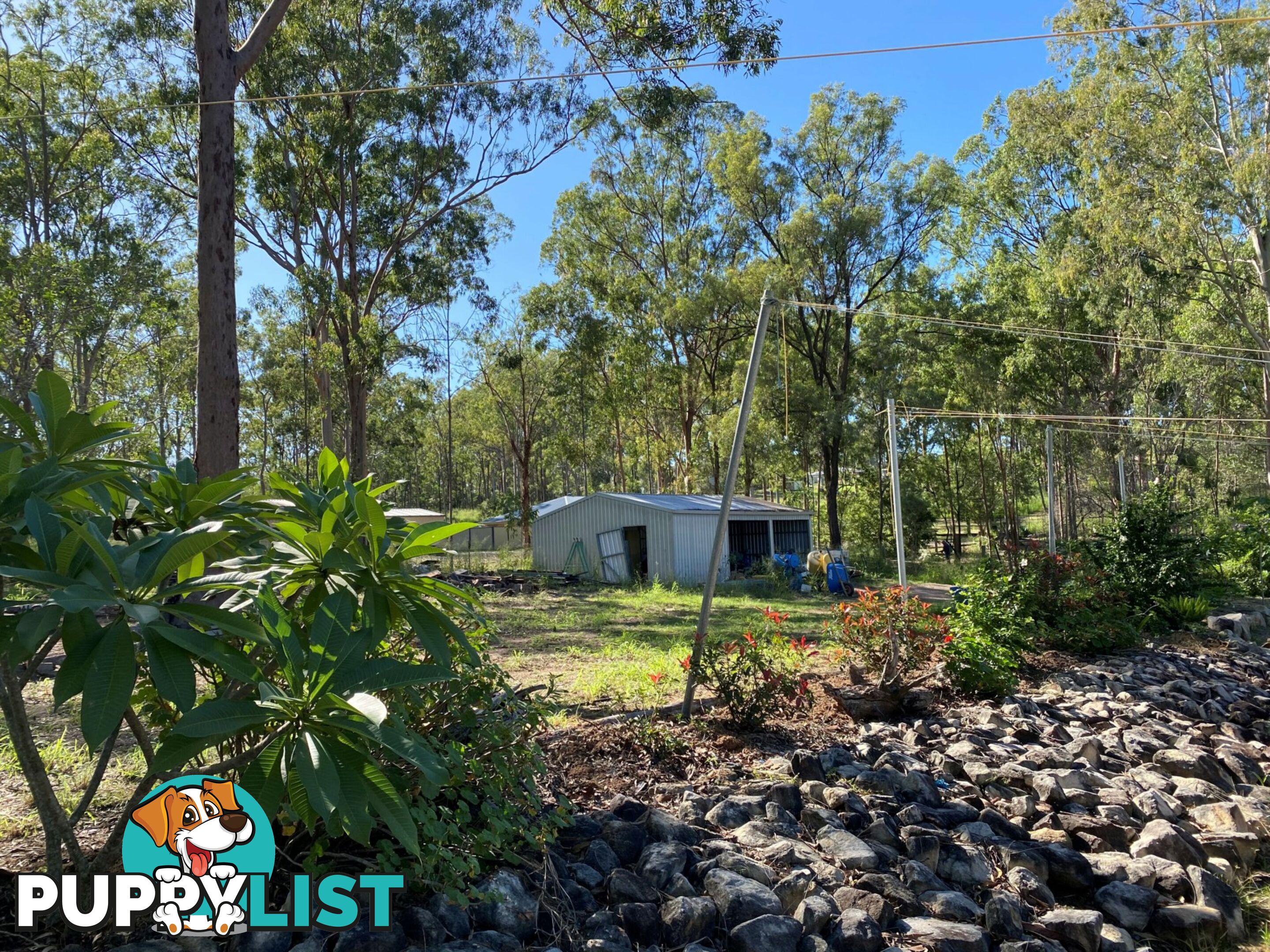 43 hewett drive REGENCY DOWNS QLD 4341