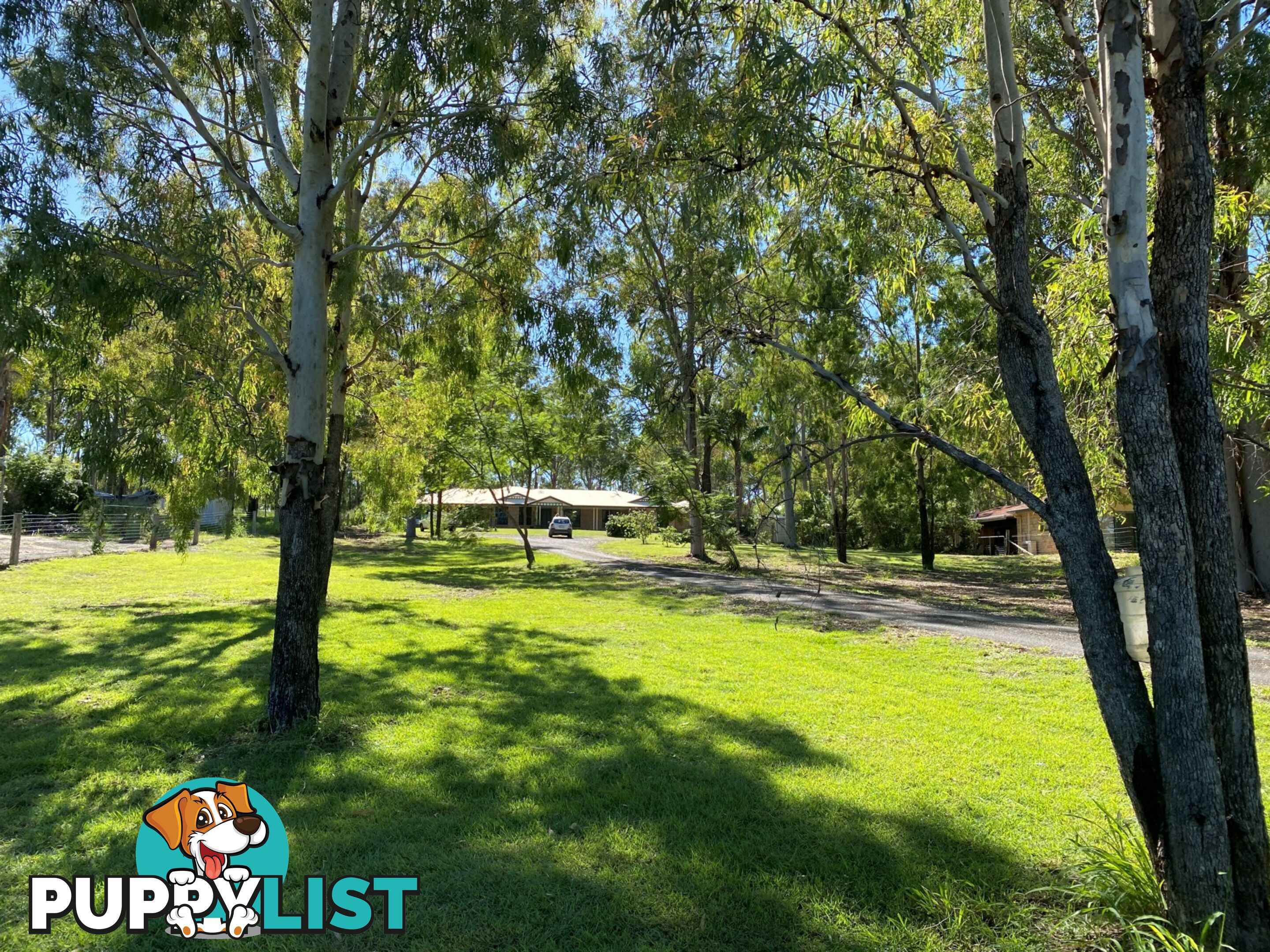 43 hewett drive REGENCY DOWNS QLD 4341