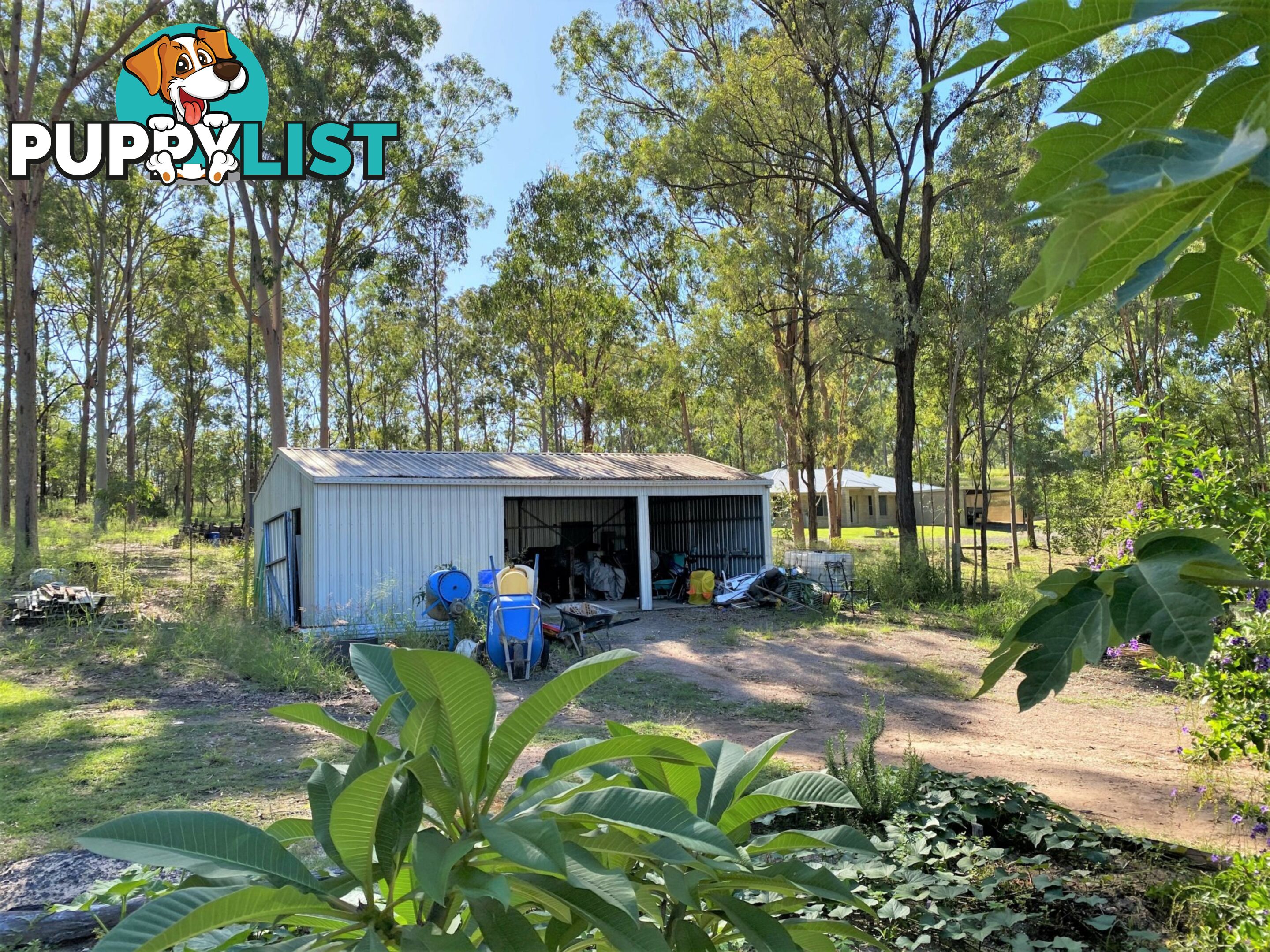 43 hewett drive REGENCY DOWNS QLD 4341